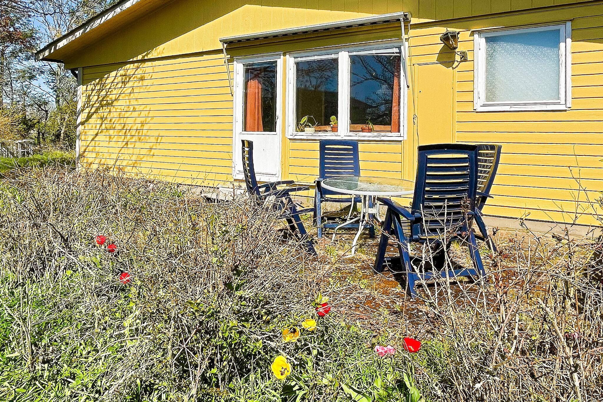 Landelijk huis met tuin bij Borgholm