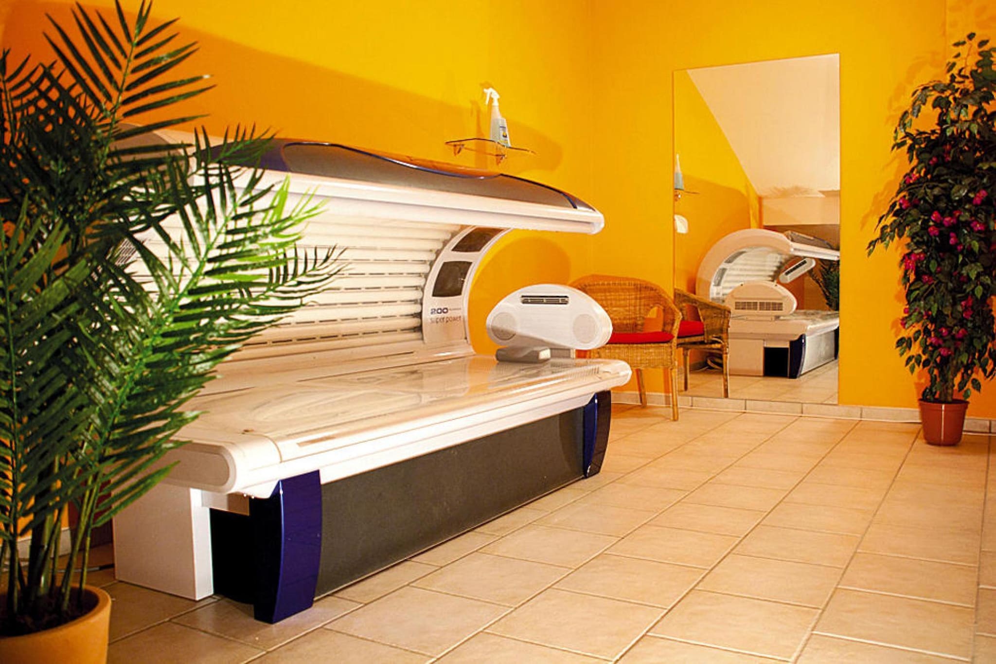 Wellness