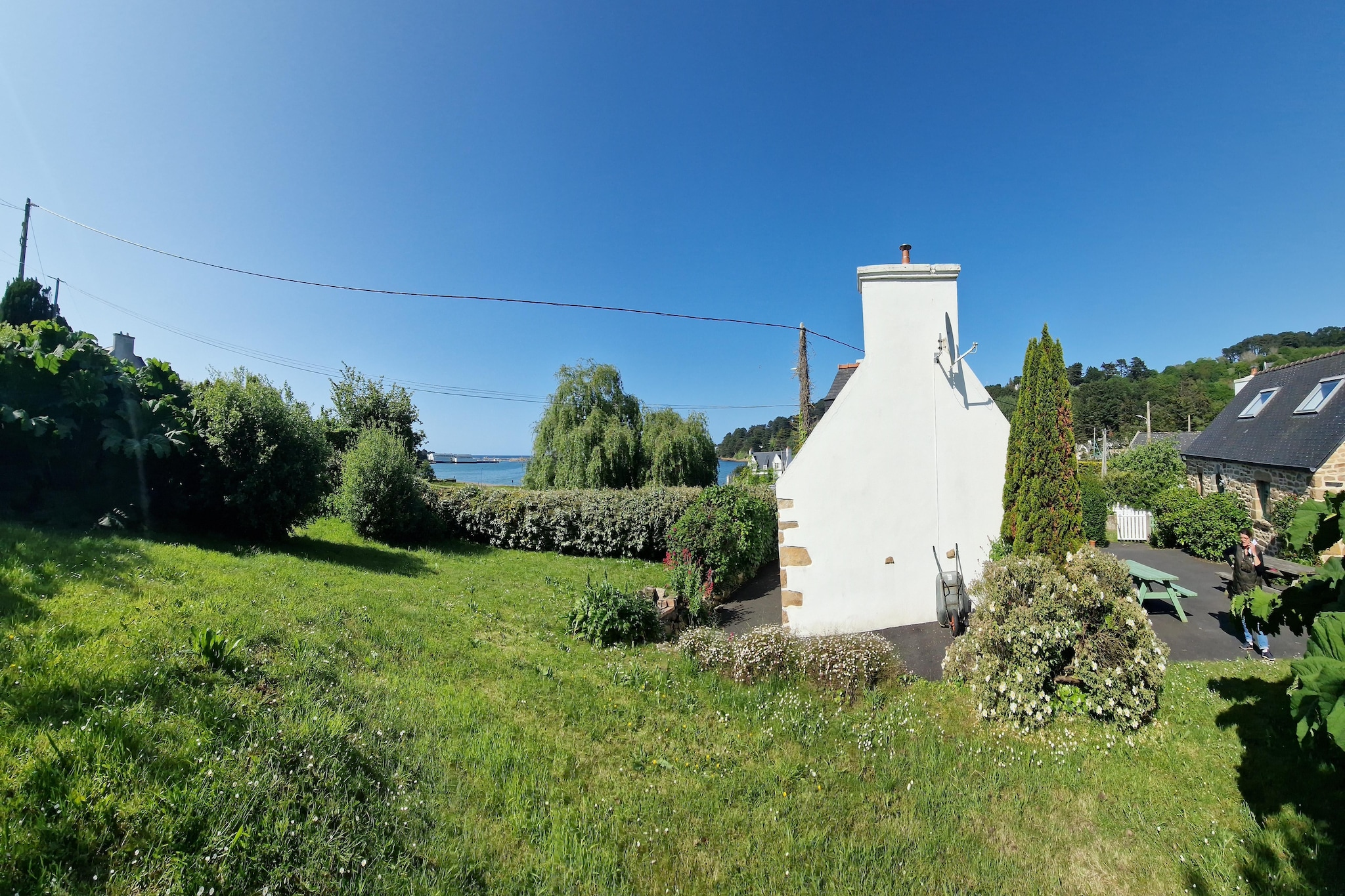 Garden Summer