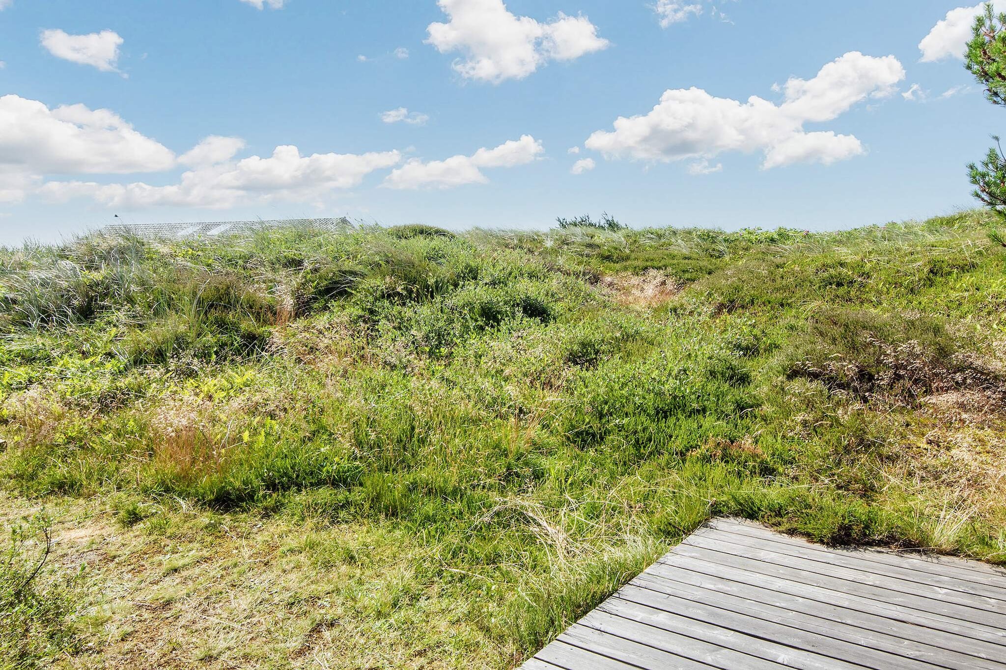 6 persoons vakantie huis in Ringkøbing - Uitzicht