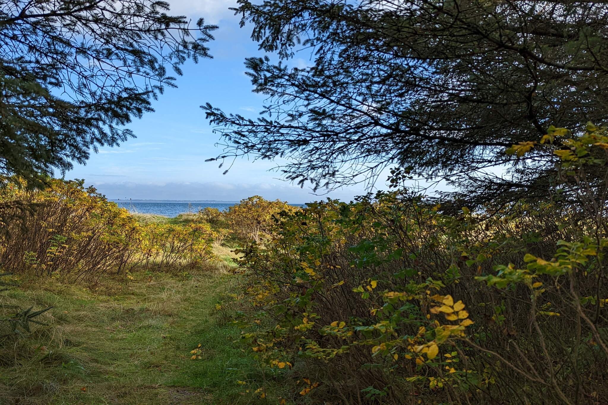 6 persoons vakantie huis in Thyholm-By Traum