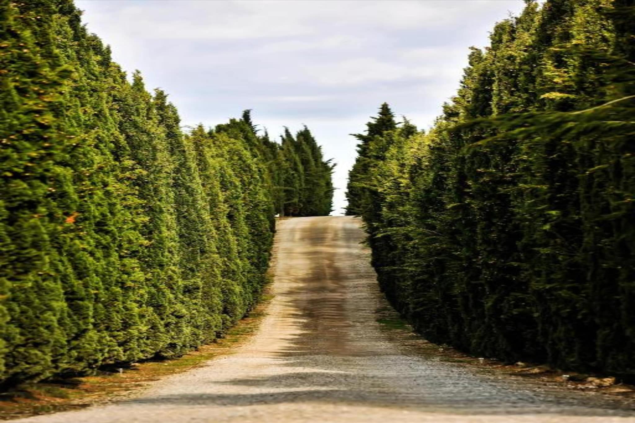 Villa Petra Sei-Gebieden zomer 20km