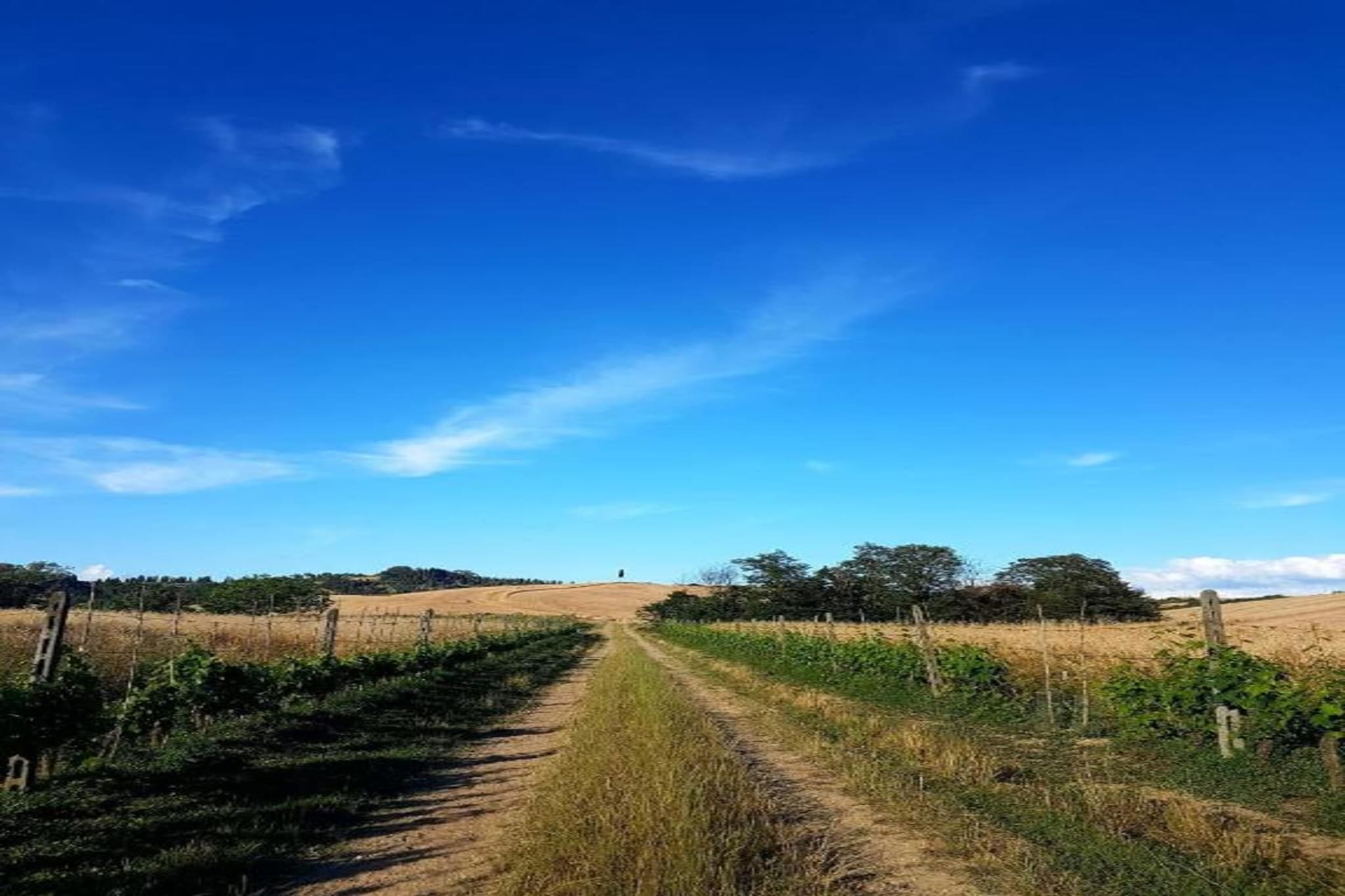 Villa Alice-Gebieden zomer 5km