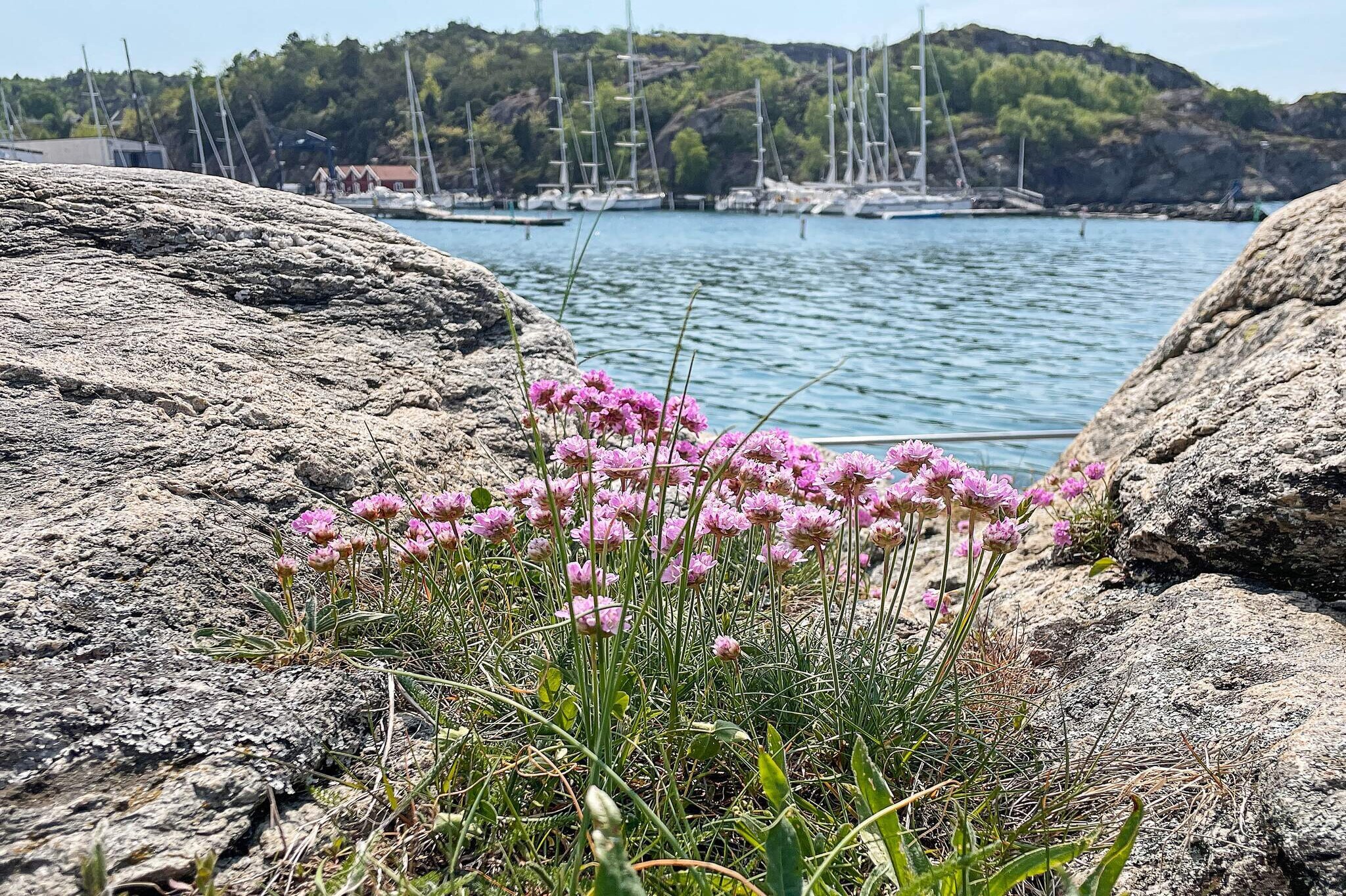 2 person holiday home in ELLÃ–S-By Traum