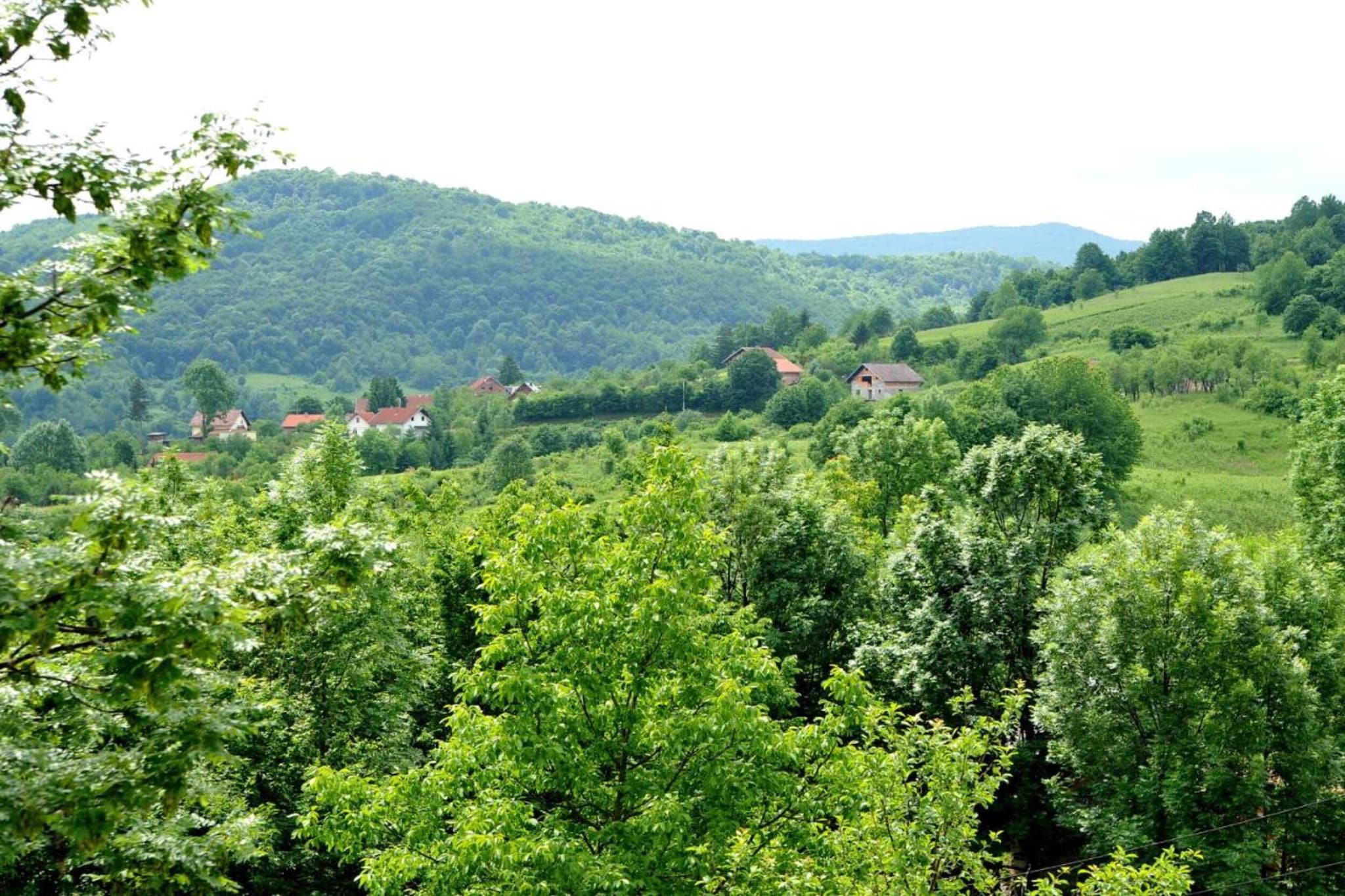 Apartment Jelena 2-Gebieden zomer 20km