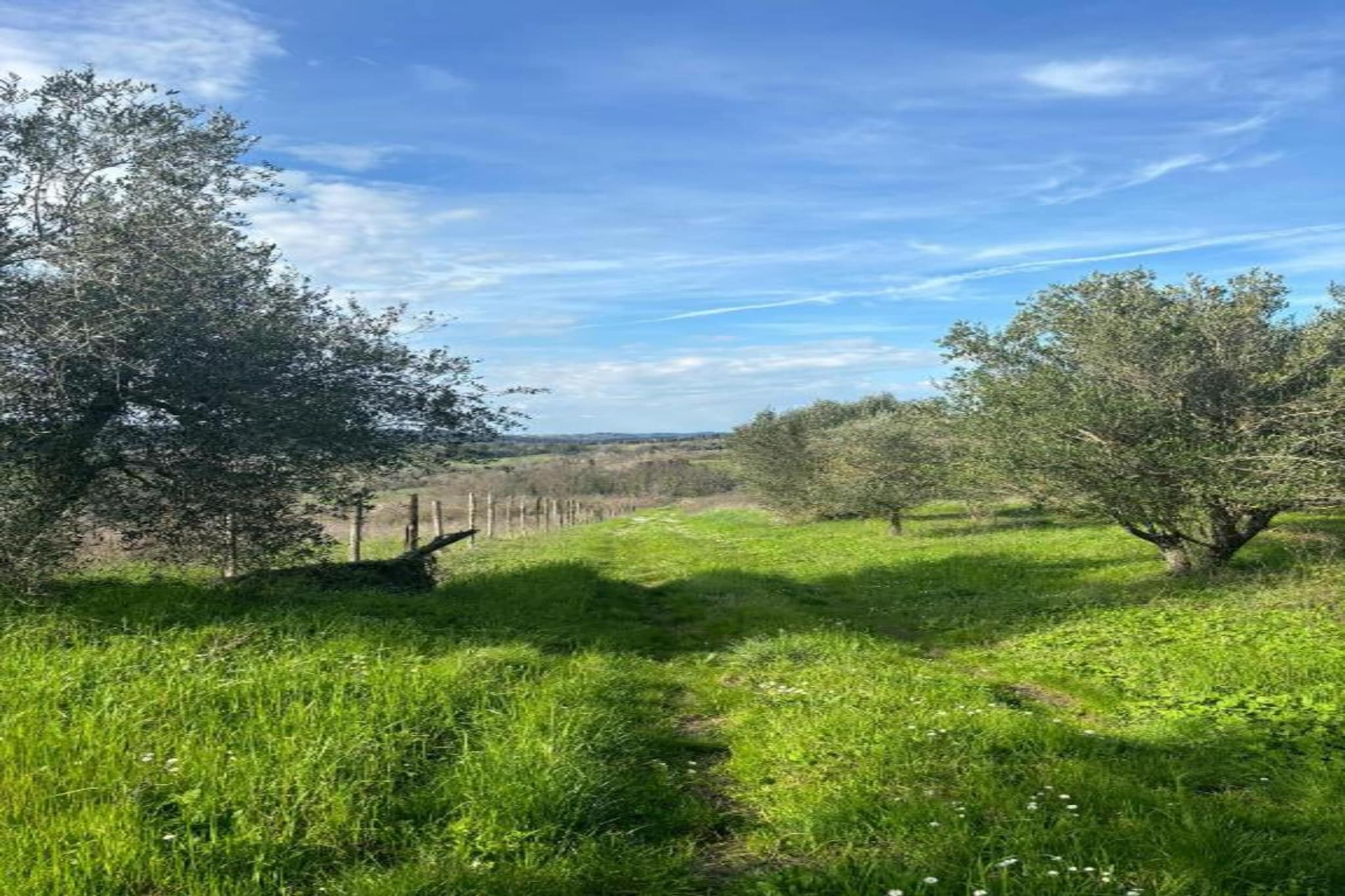 Villa Celli Sei-Gebieden zomer 5km