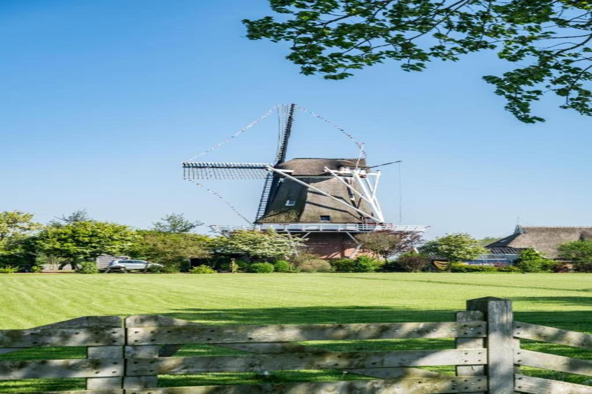 Wad’n Leven-View summer