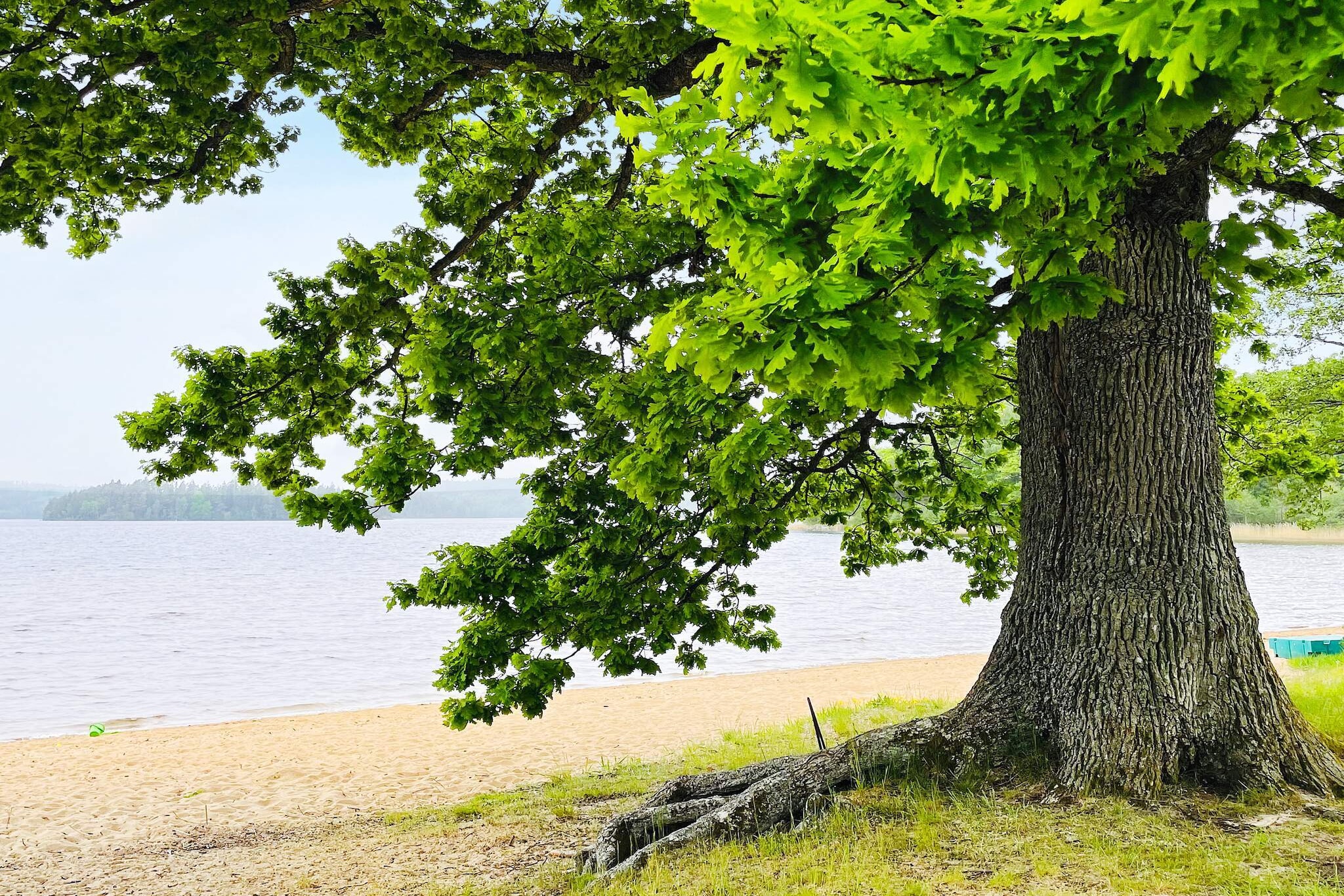Maison de vacances pour 4 a ALLINGSÅS, SVERIGE - Non tagué