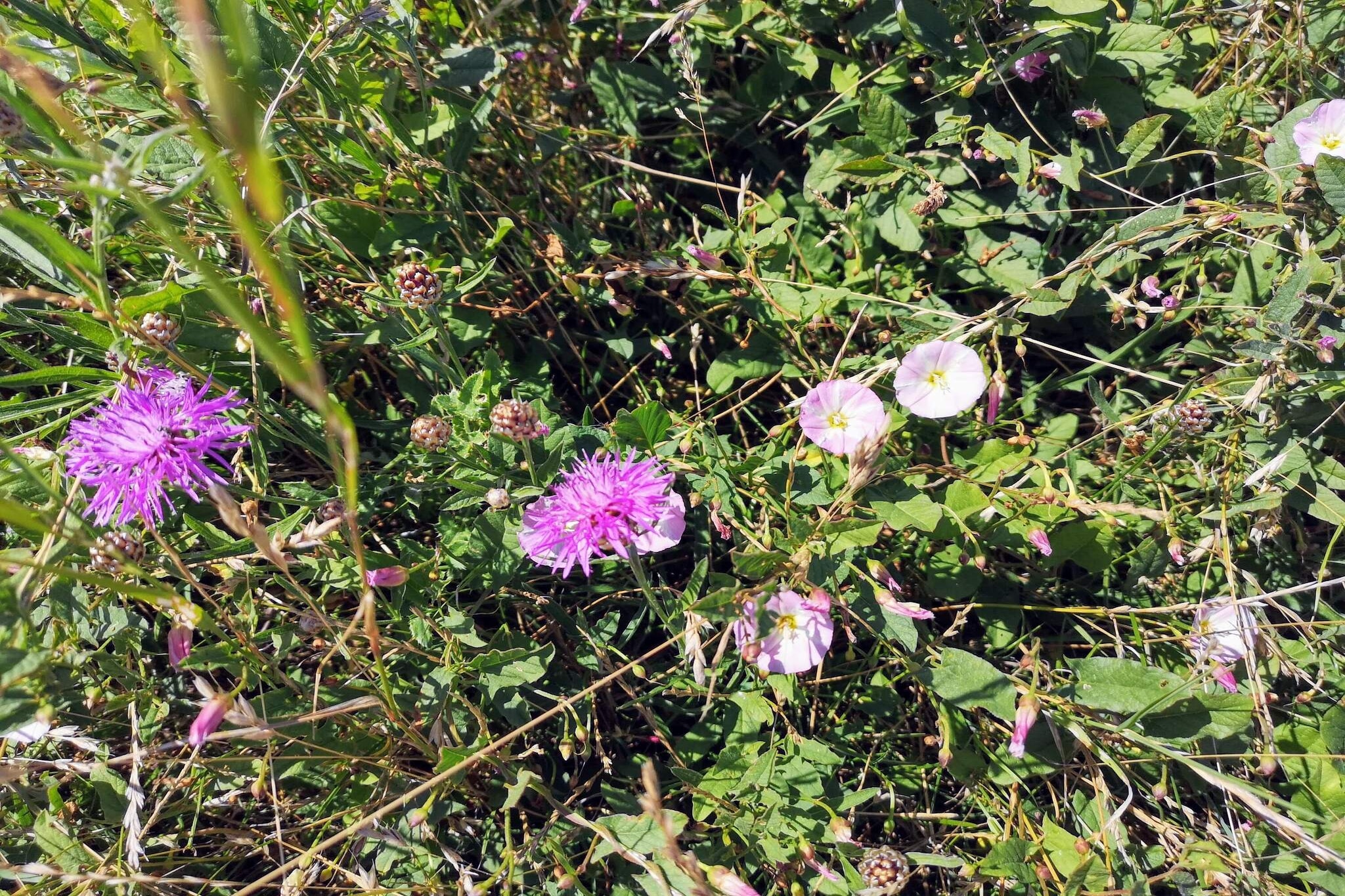 3 person holiday home in Karrebæksminde-By Traum-Untagged