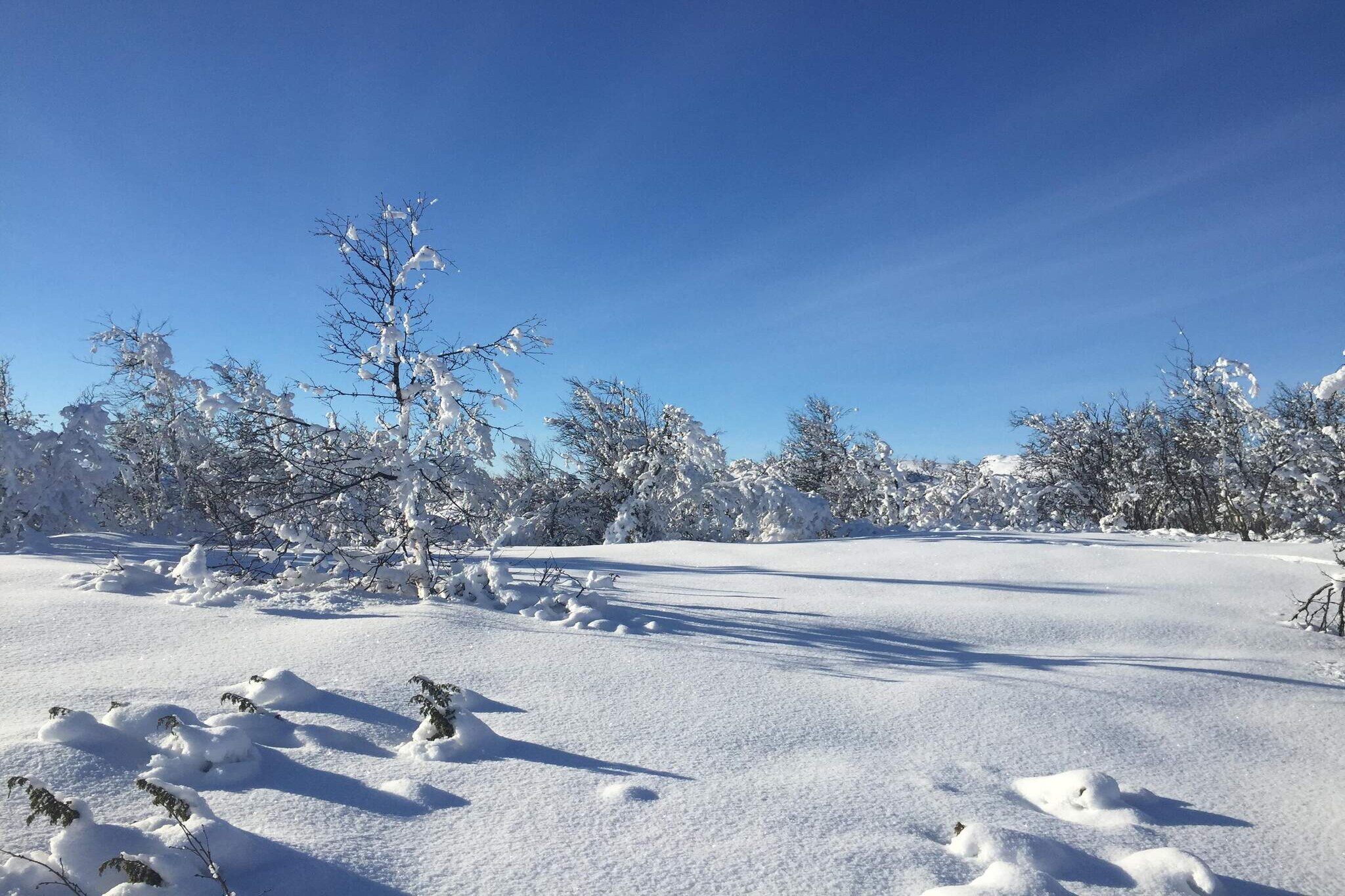 4 persoons vakantie huis in GEILO-By Traum - Niet-getagd