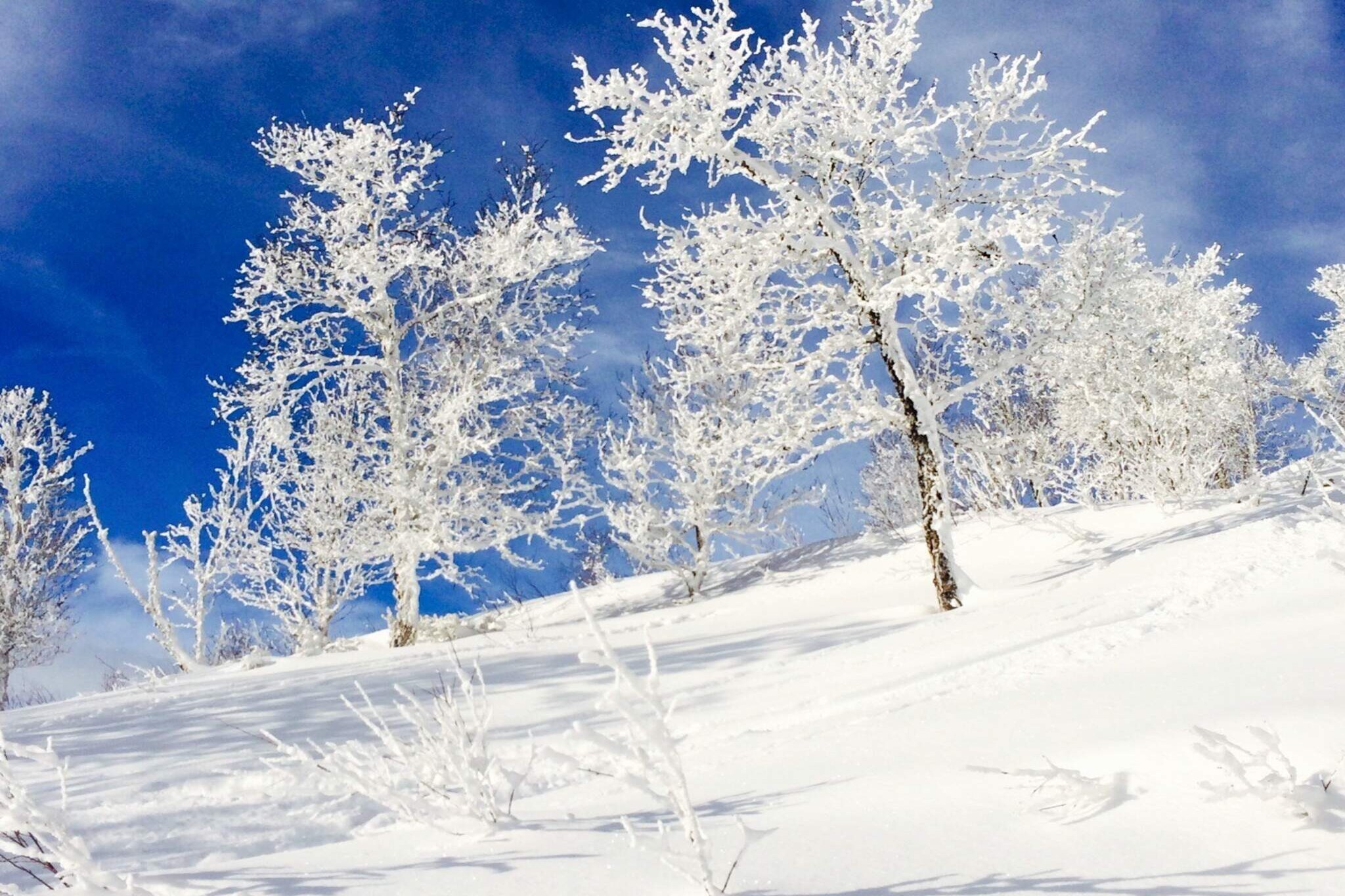 4 persoons vakantie huis in GEILO-By Traum - Niet-getagd