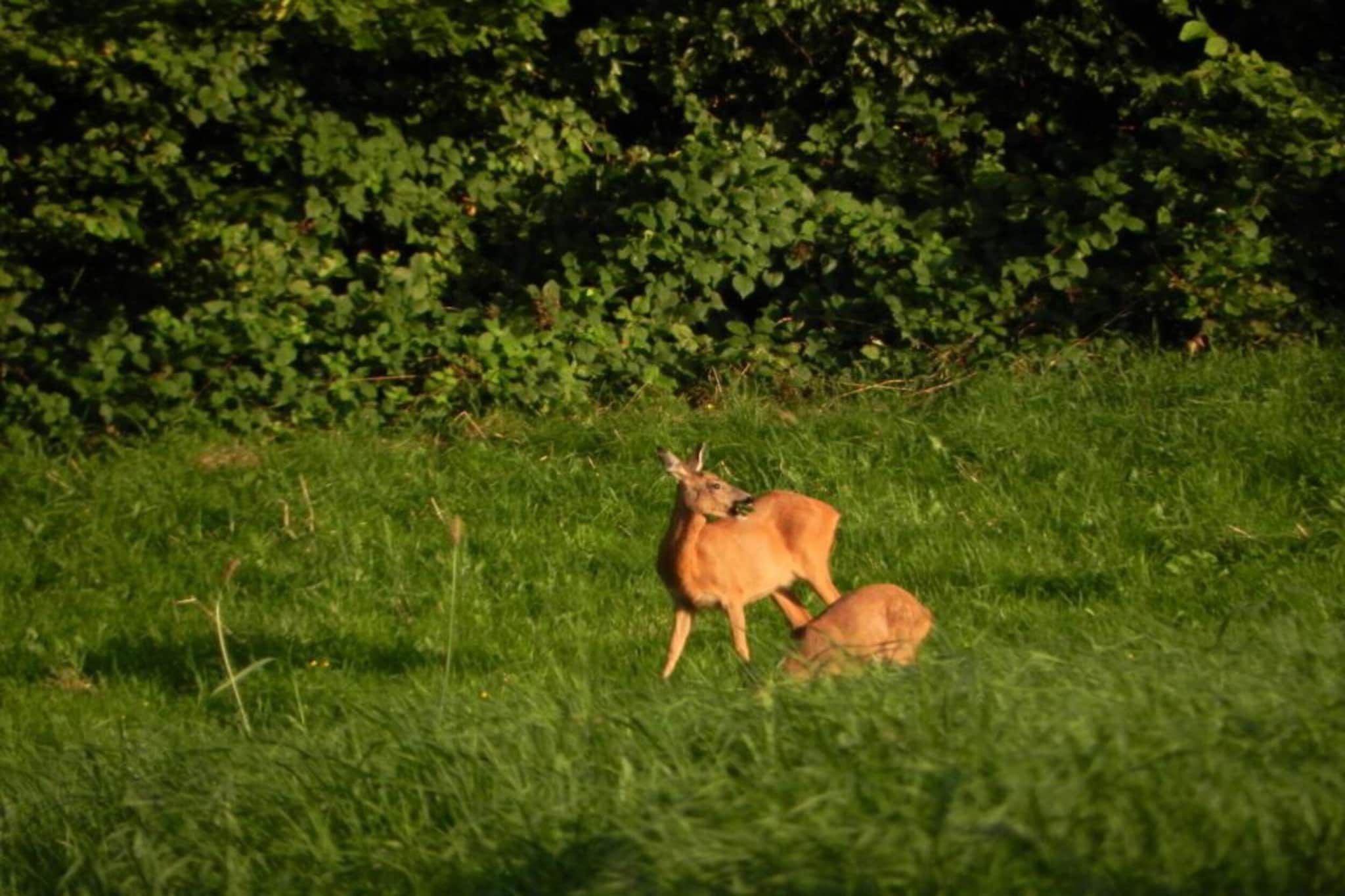 Ile-de-la-Banette-Gebieden zomer 20km