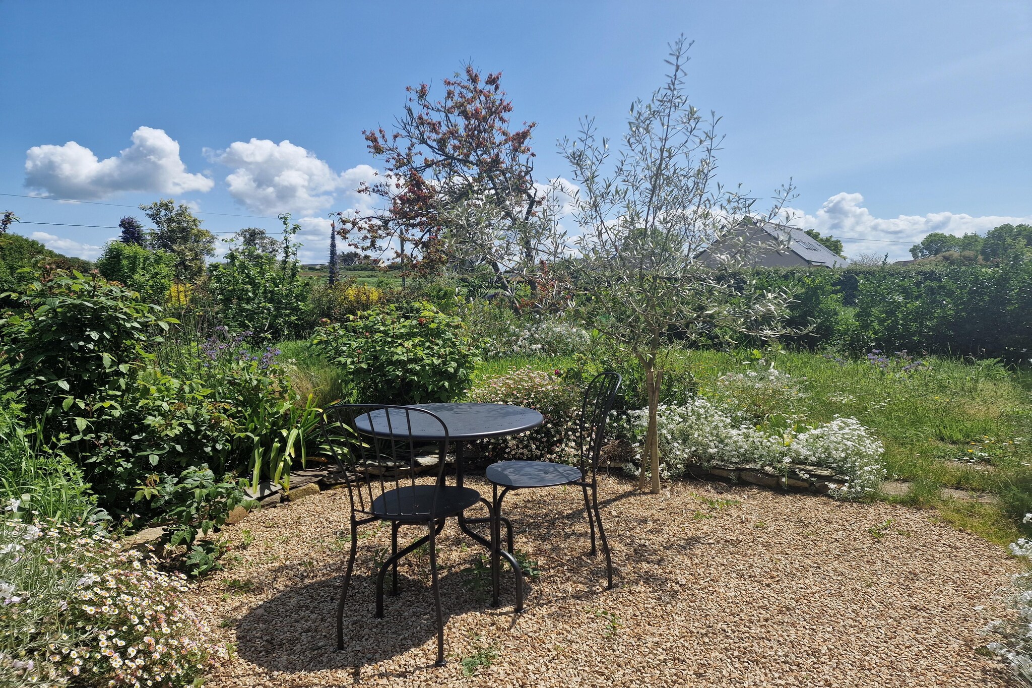 Garden Summer