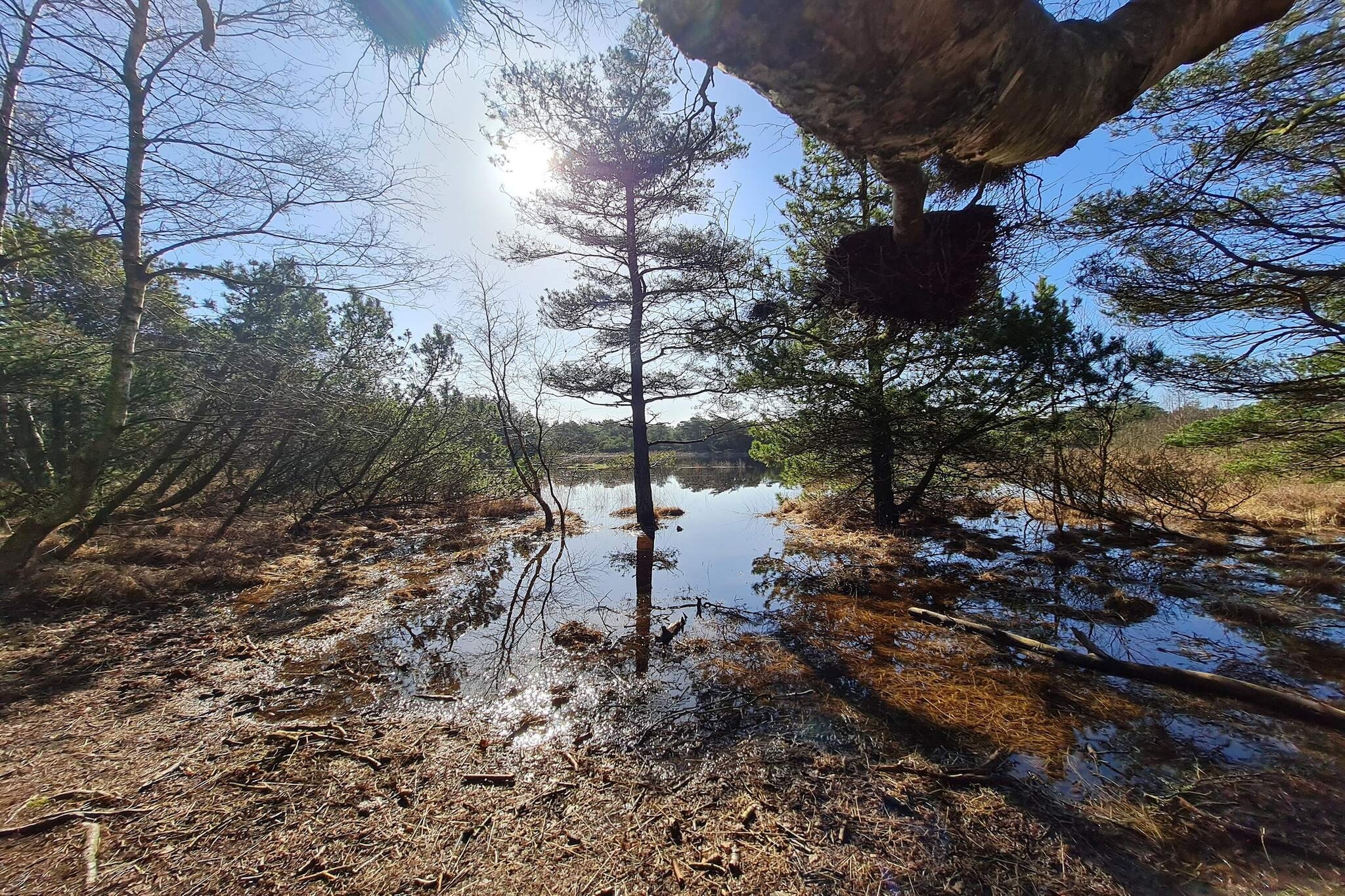 Luxusvilla mit Pool -- By Traum Ferienwohnungen-Wasserblick