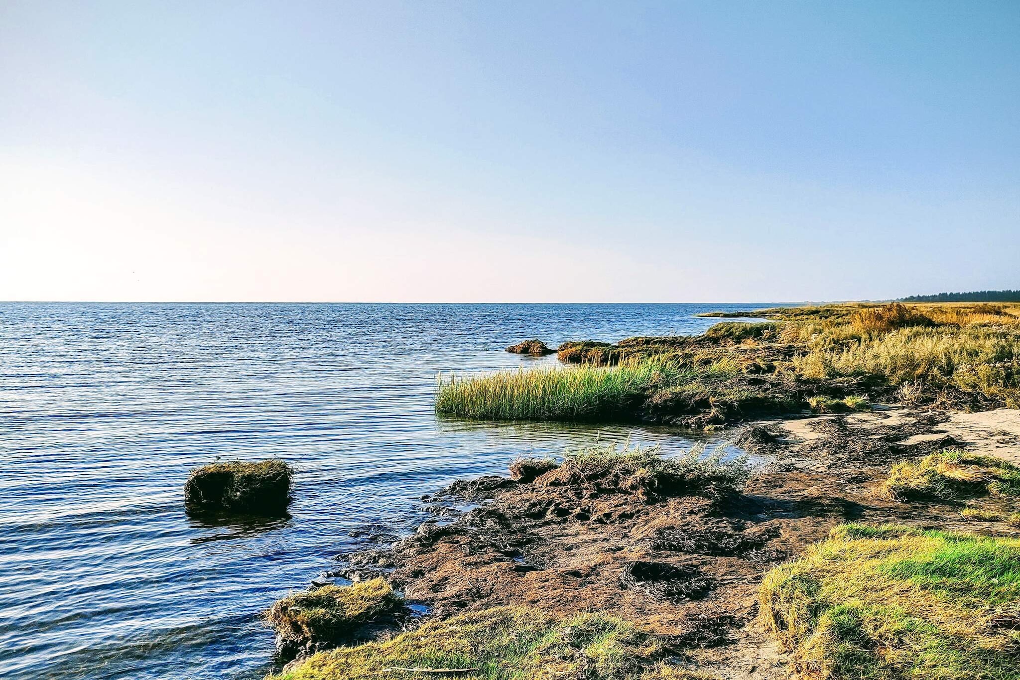 Havre de vie sauvage près de Bisnap -- By Traum Ferienwohnungen-Non tagué