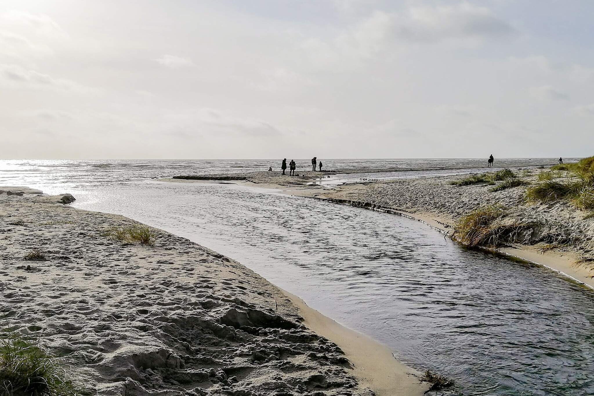 Havre de vie sauvage près de Bisnap -- By Traum Ferienwohnungen-Non tagué