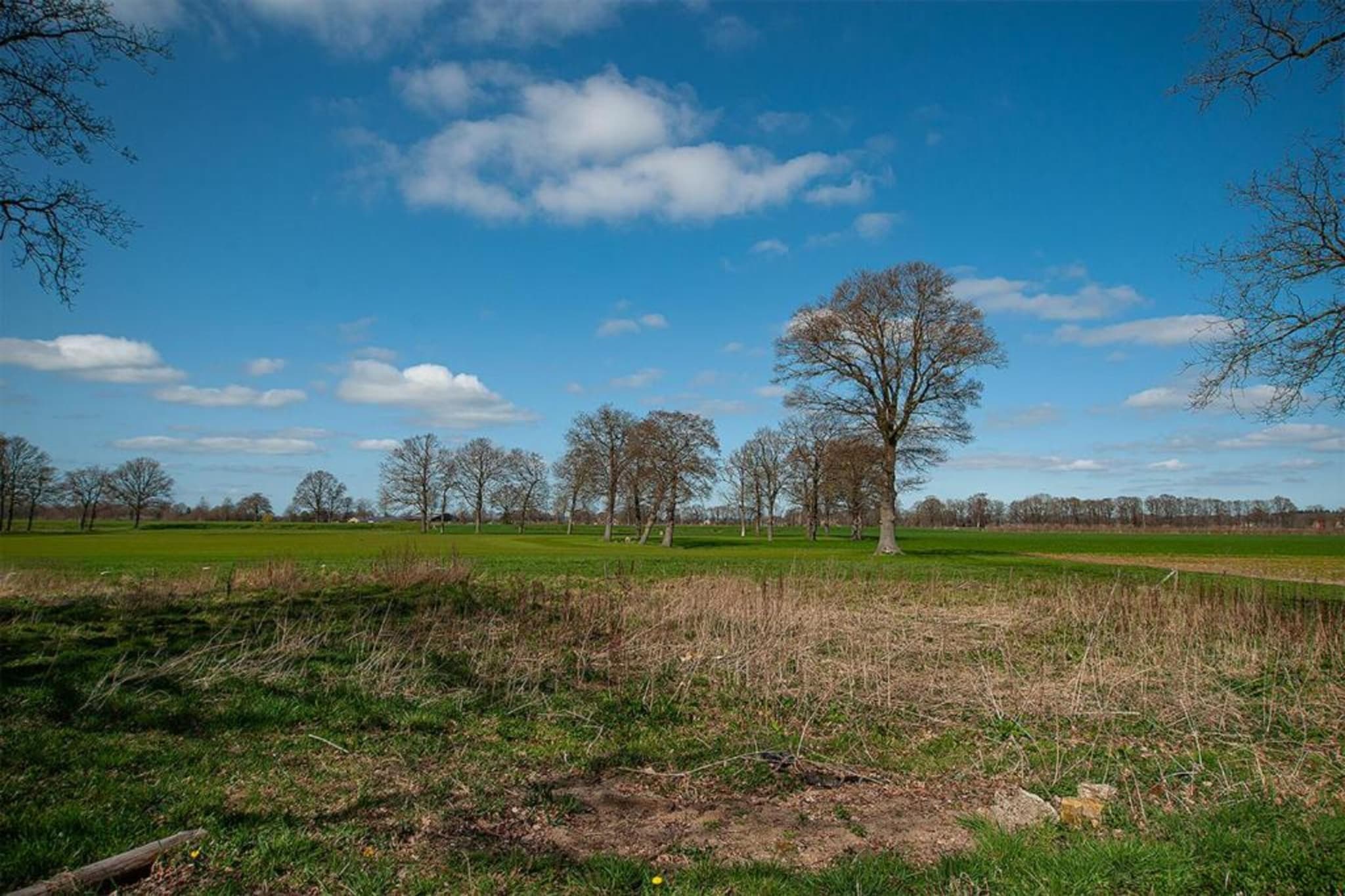 Vakantiewoning de Zwaluw-Areas summer 20km
