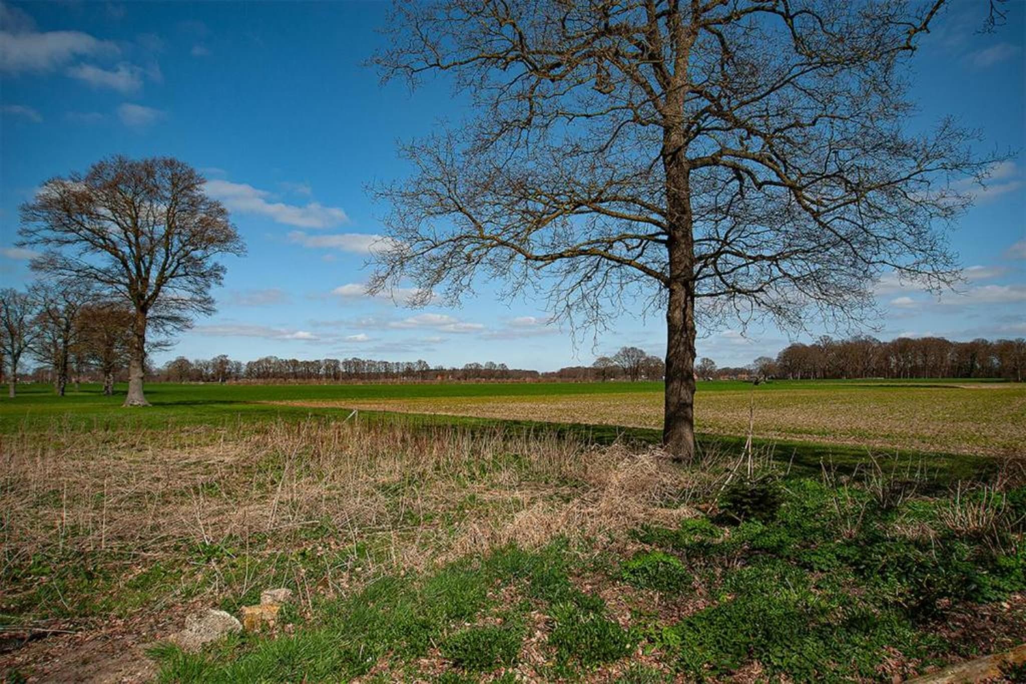 Vakantiewoning de Zwaluw-Areas summer 20km