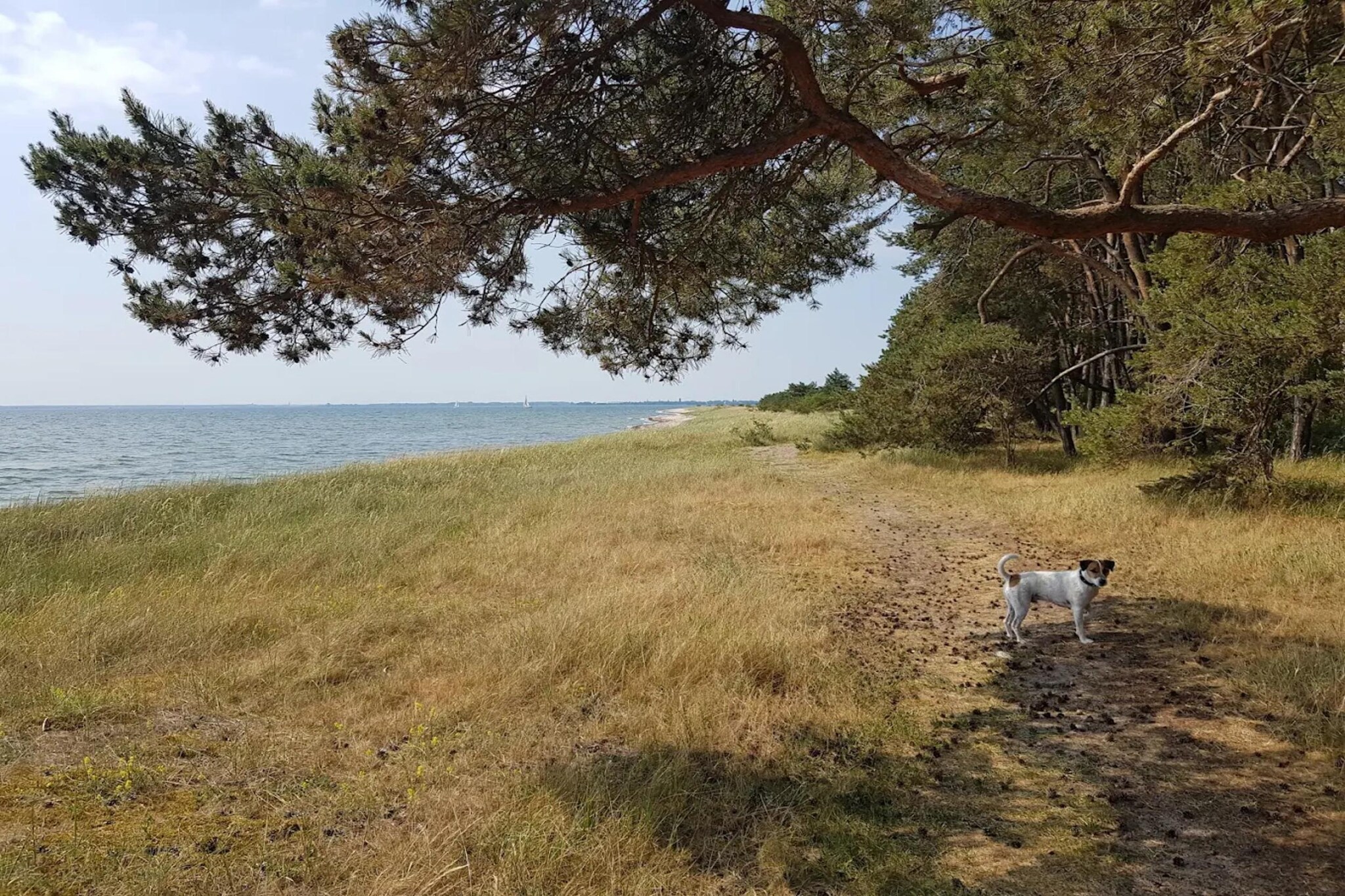 Gutshaus Zicker -Wohnung 4-Areas summer 5km