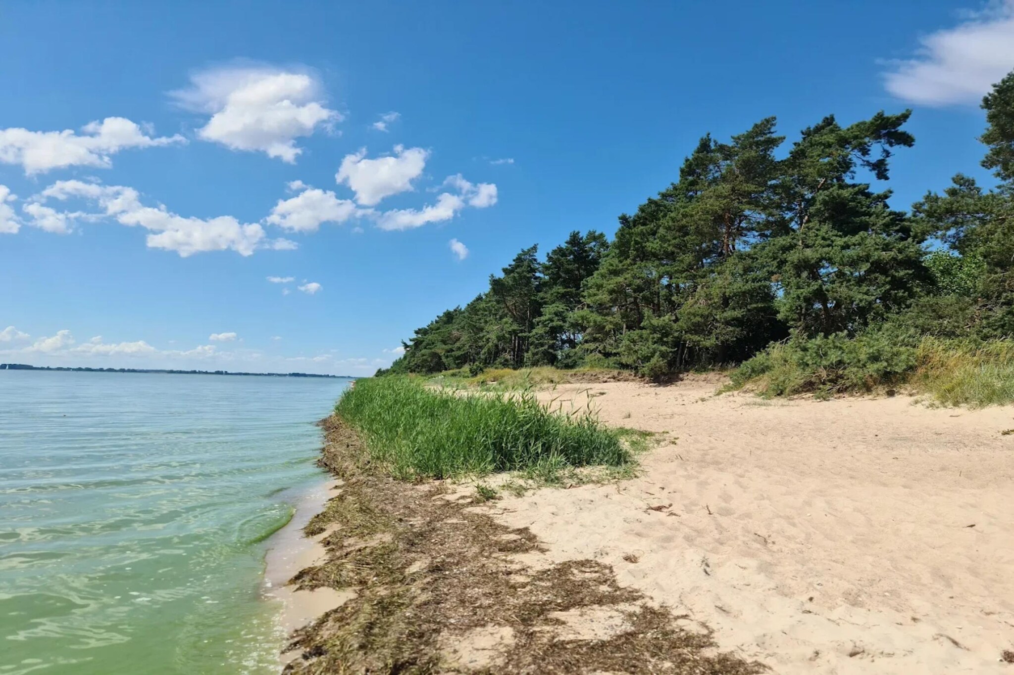 Gutshaus Zicker -Wohnung 4-Areas summer 5km