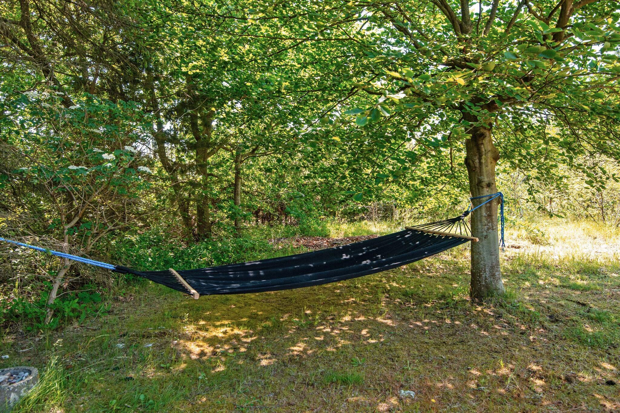 6 Personen Ferienhaus in Ulfborg-By Traum - Aussicht