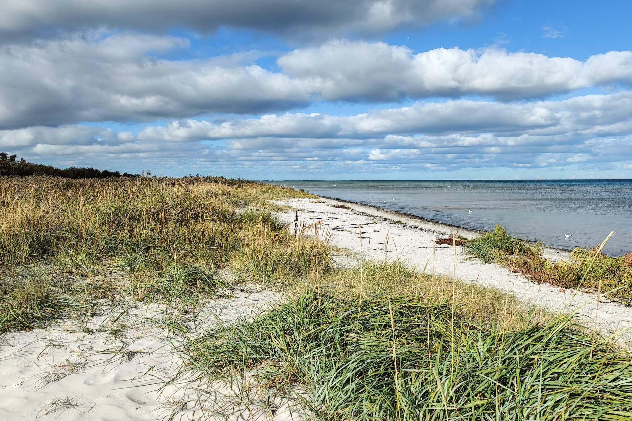 6 Personen Ferienhaus in Hadsund-By Traum