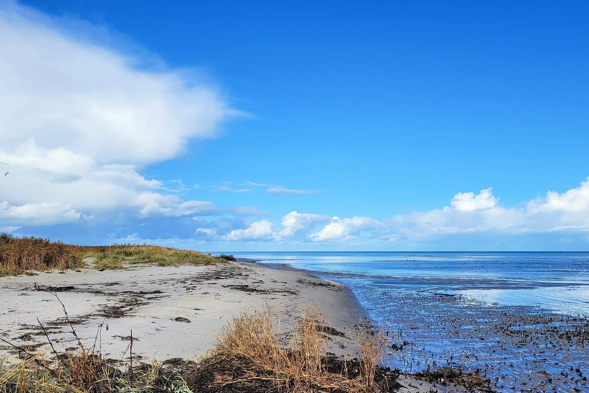 6 persoons vakantie huis in Hadsund-By Traum - Waterzicht