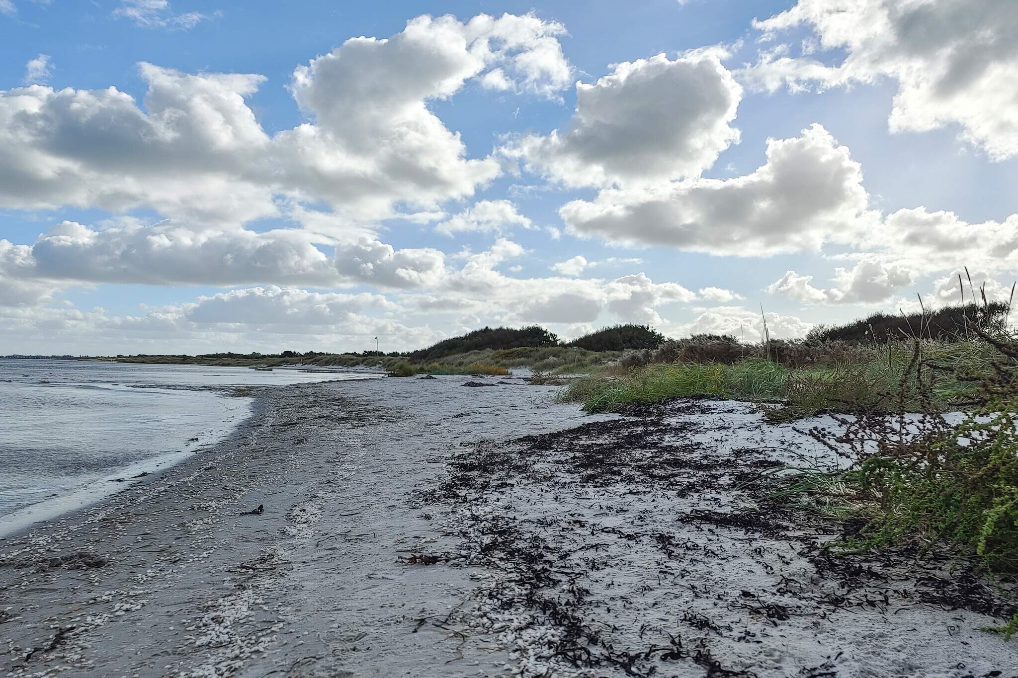 6 persoons vakantie huis in Hadsund-By Traum - Waterzicht