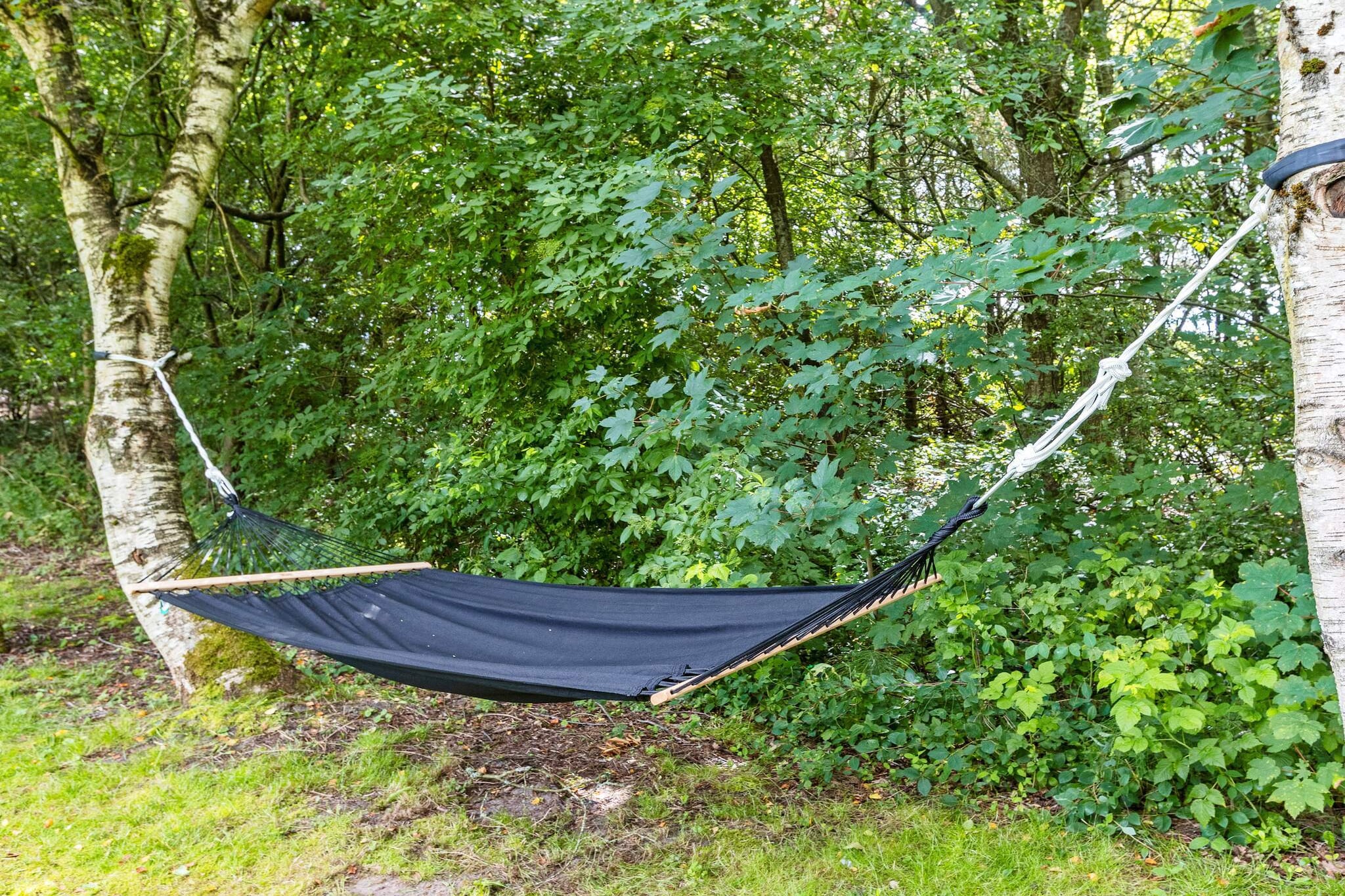6 Personen Ferienhaus in Fjerritslev-By Traum - Aussicht