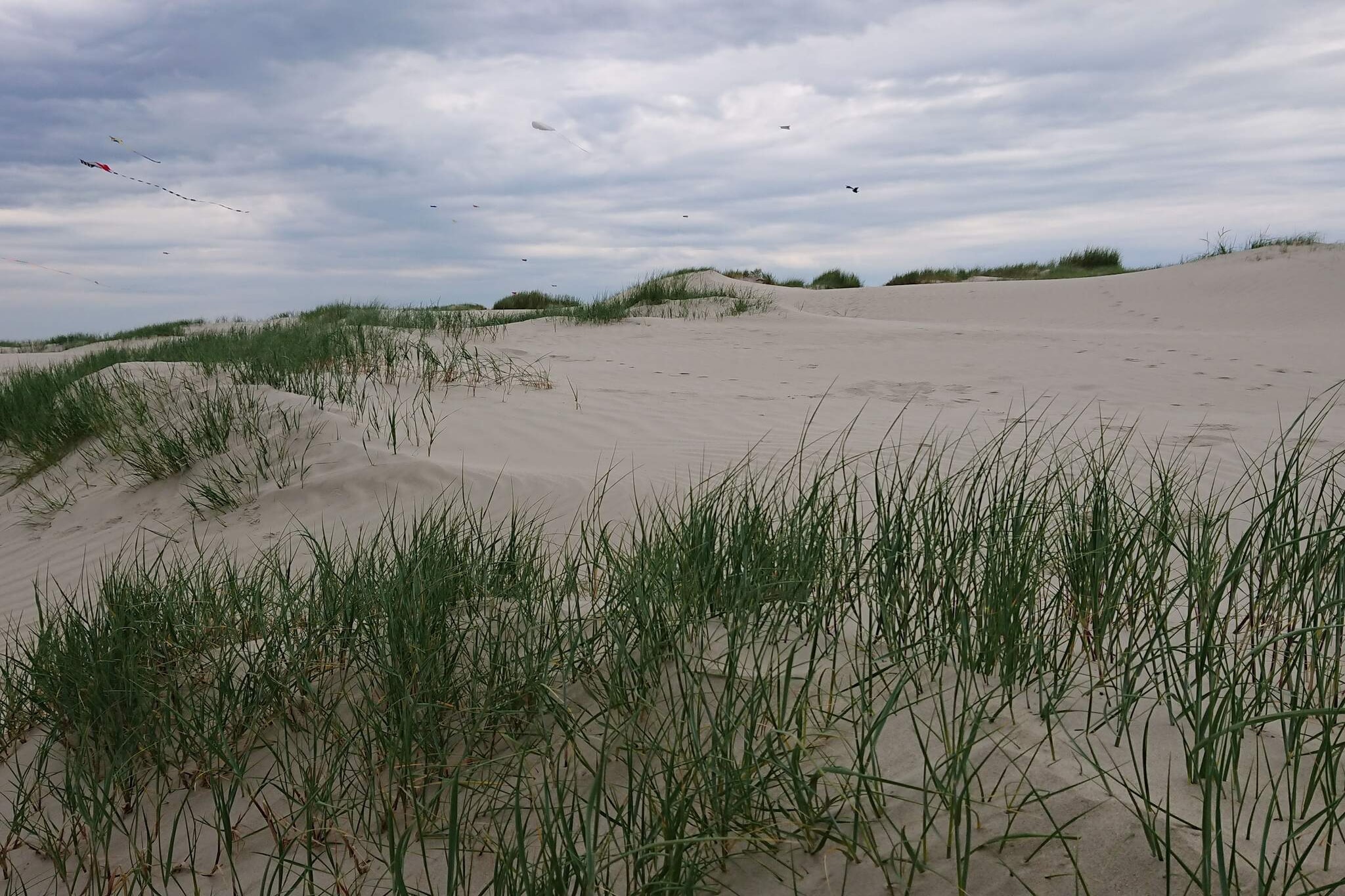 6 persoons vakantie huis in Fanø-By Traum-Niet-getagd