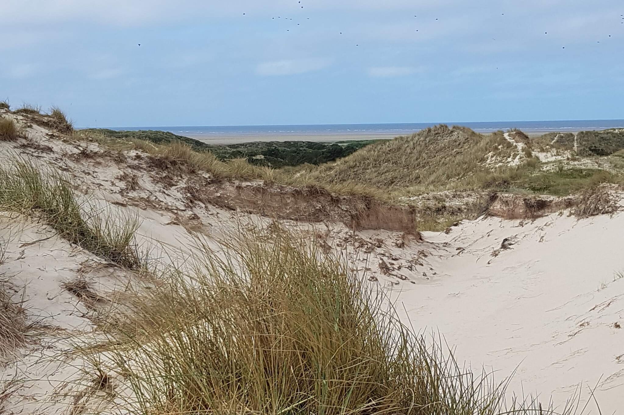 6 persoons vakantie huis in Fanø-By Traum-Niet-getagd