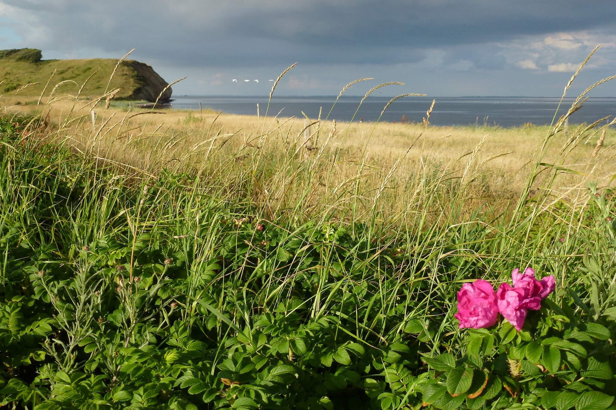 4 persoons vakantie huis in Thisted-By Traum - Niet-getagd