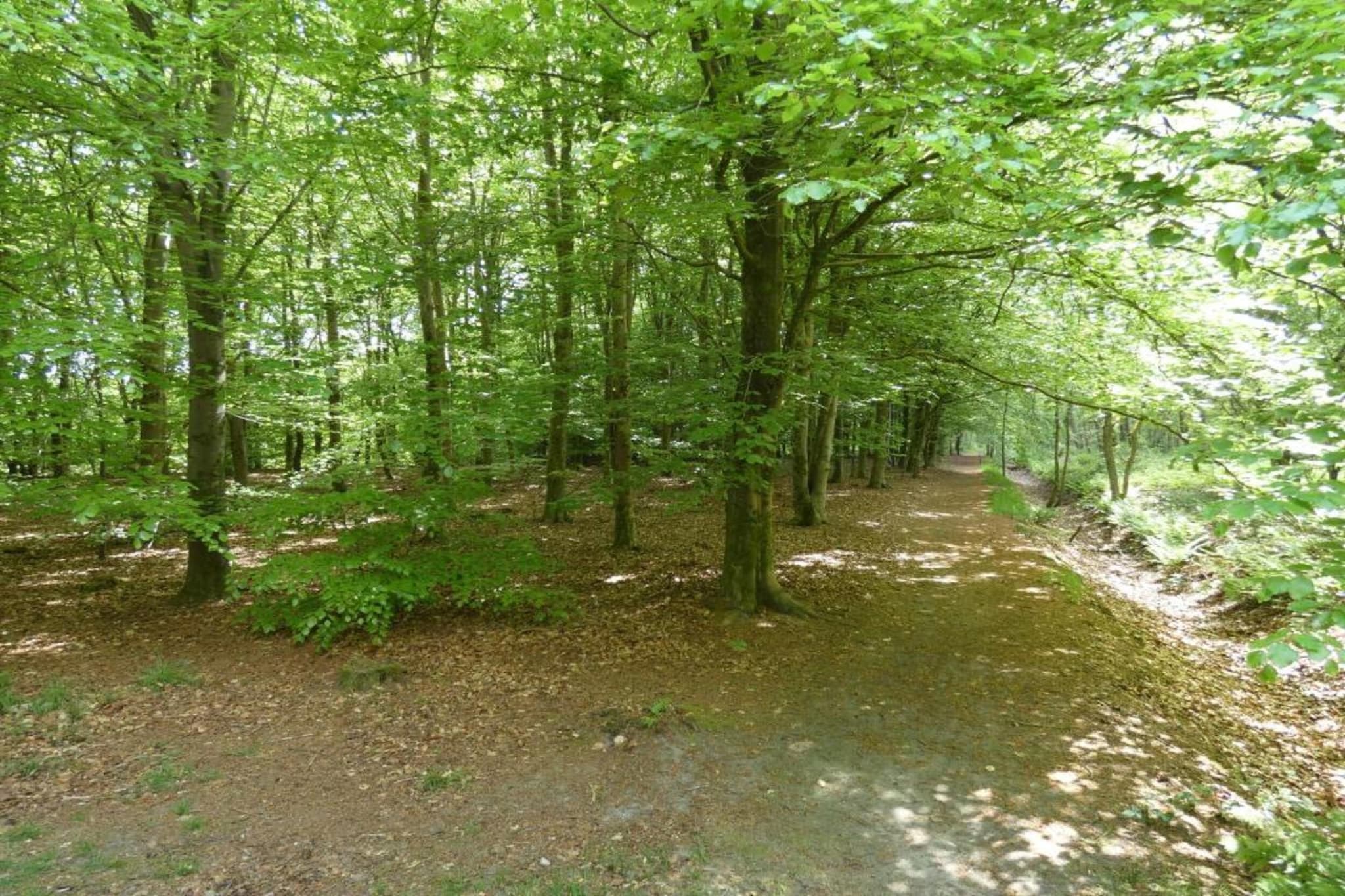 Resort Strandheem 2-Gebieden zomer 20km