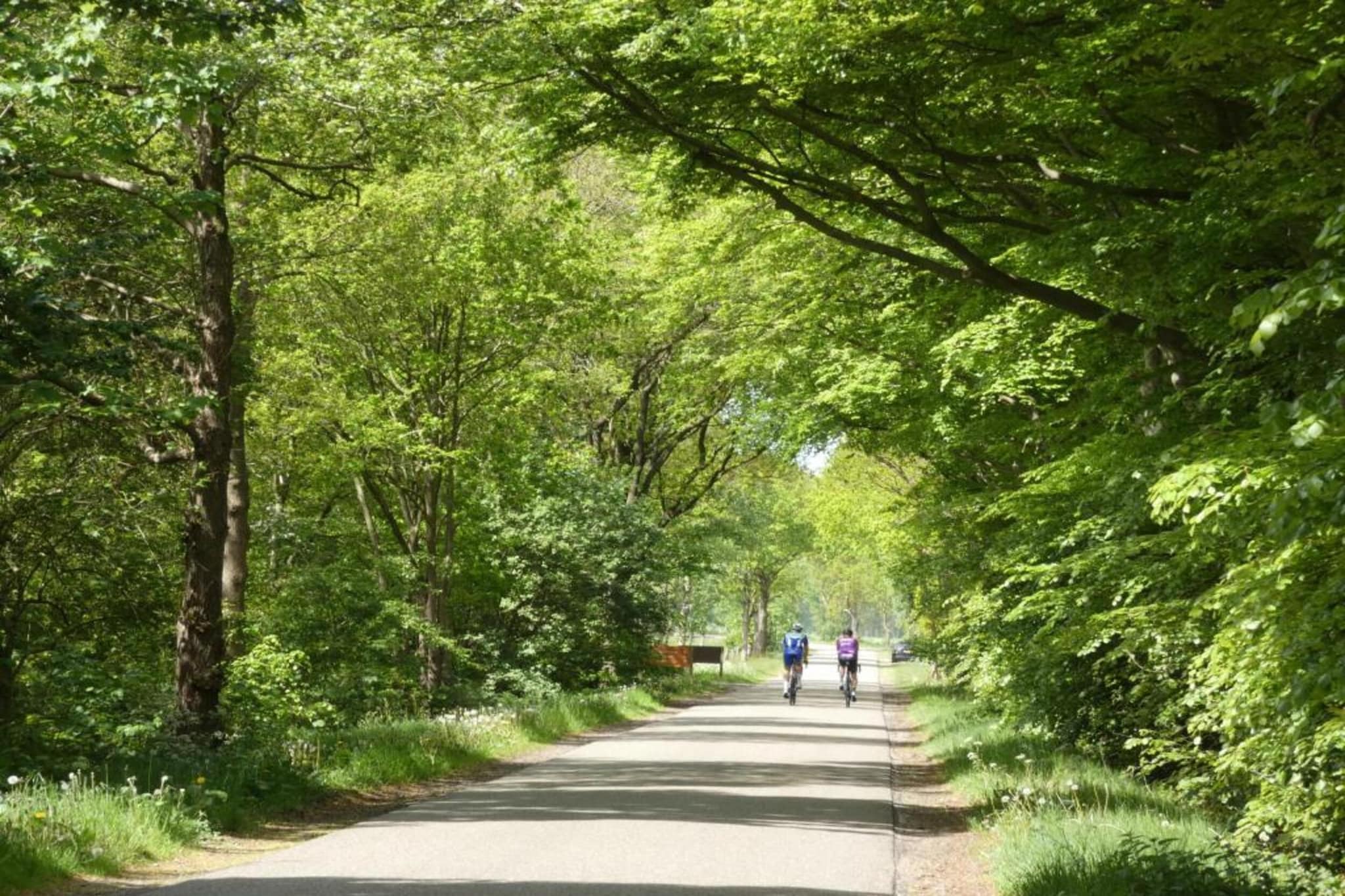 Resort Strandheem 2-Gebieden zomer 20km