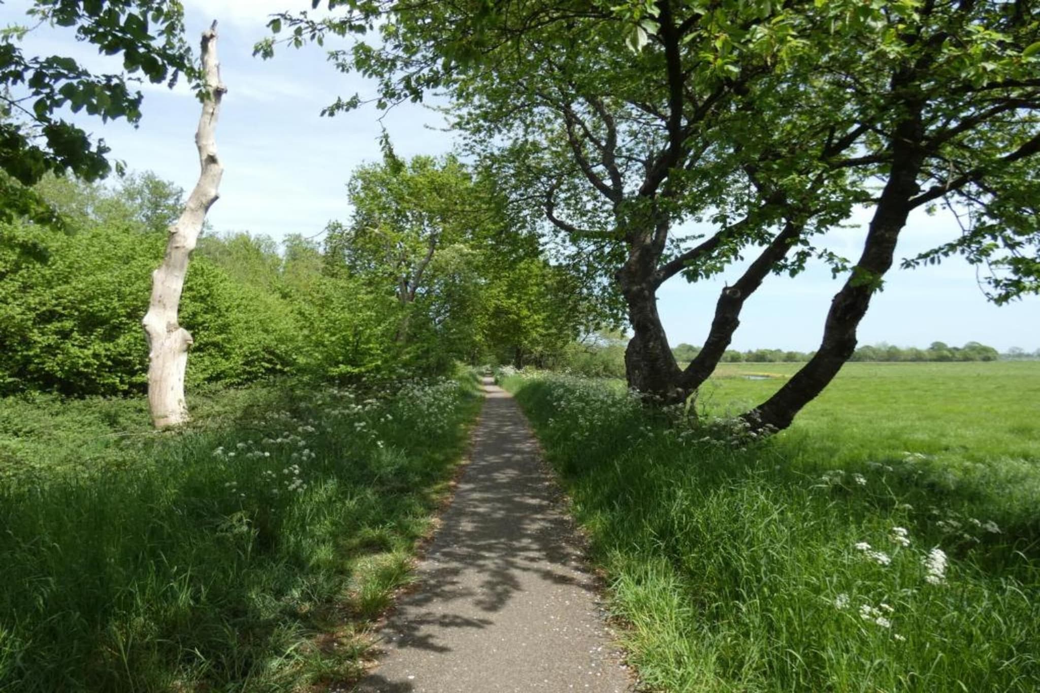 Resort Strandheem 2-Gebieden zomer 20km