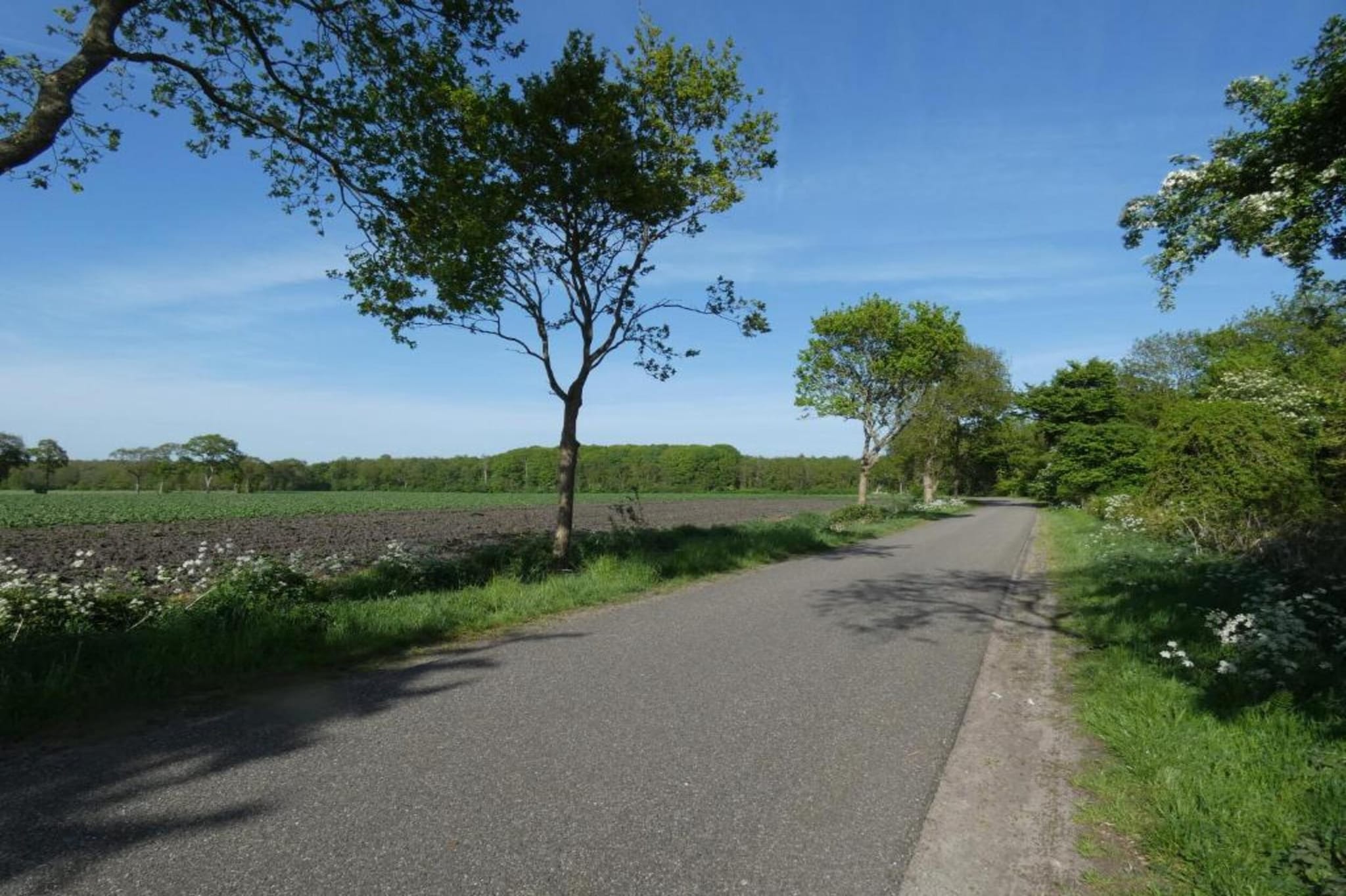 Resort Strandheem 2-Gebieden zomer 20km