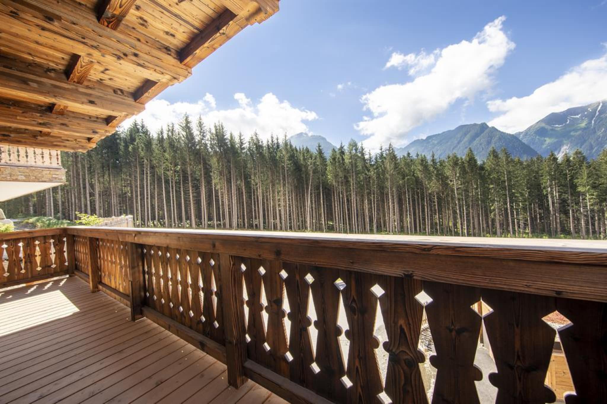 Nationalpark Chalet Ochsenbug-View summer