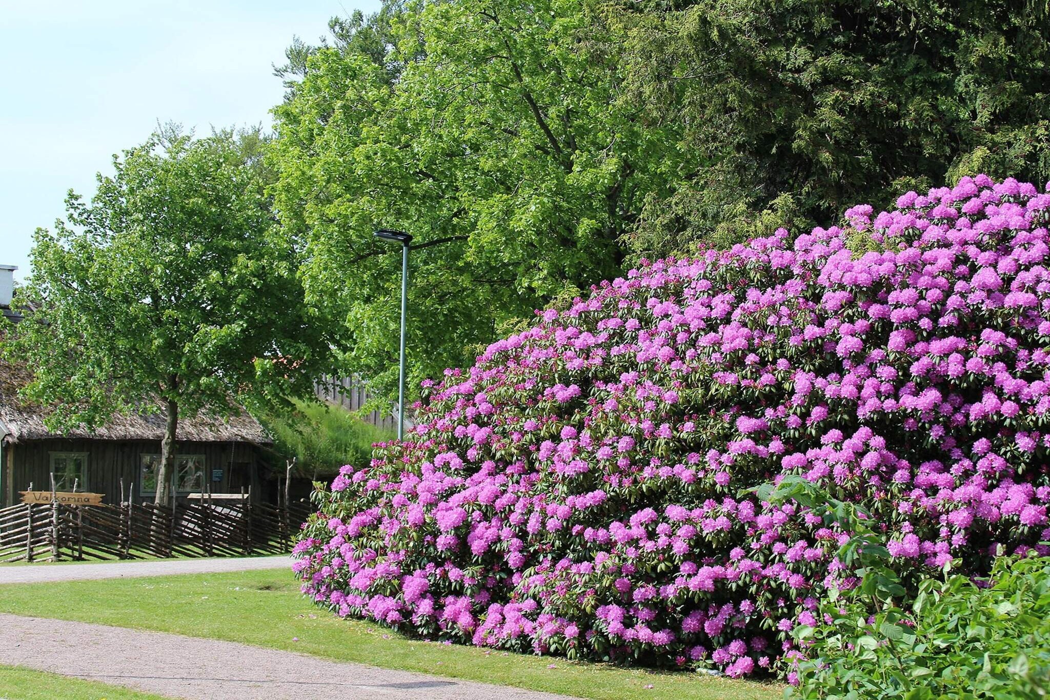 4 person holiday home in MOLKOM-By Traum