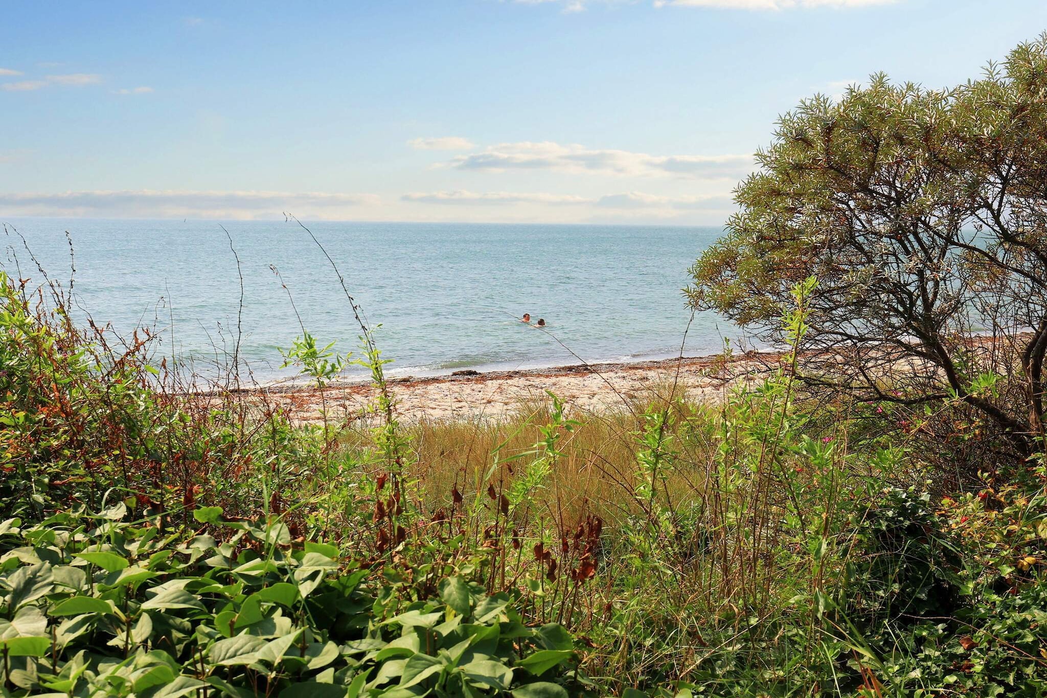 Water View