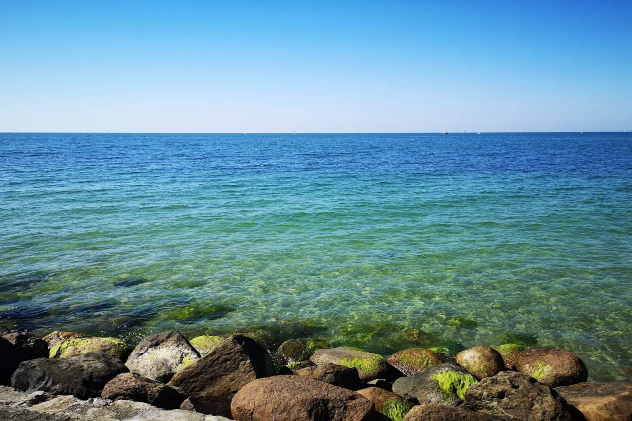 Water View