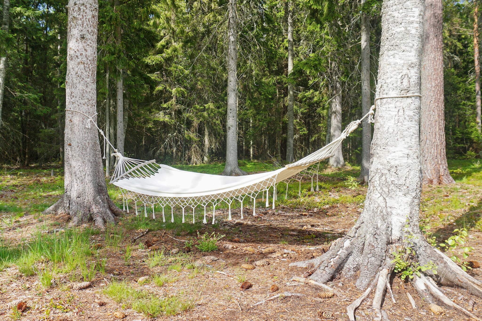 5 person holiday home in GRISSLEHAMN-By Traum - Outdoor