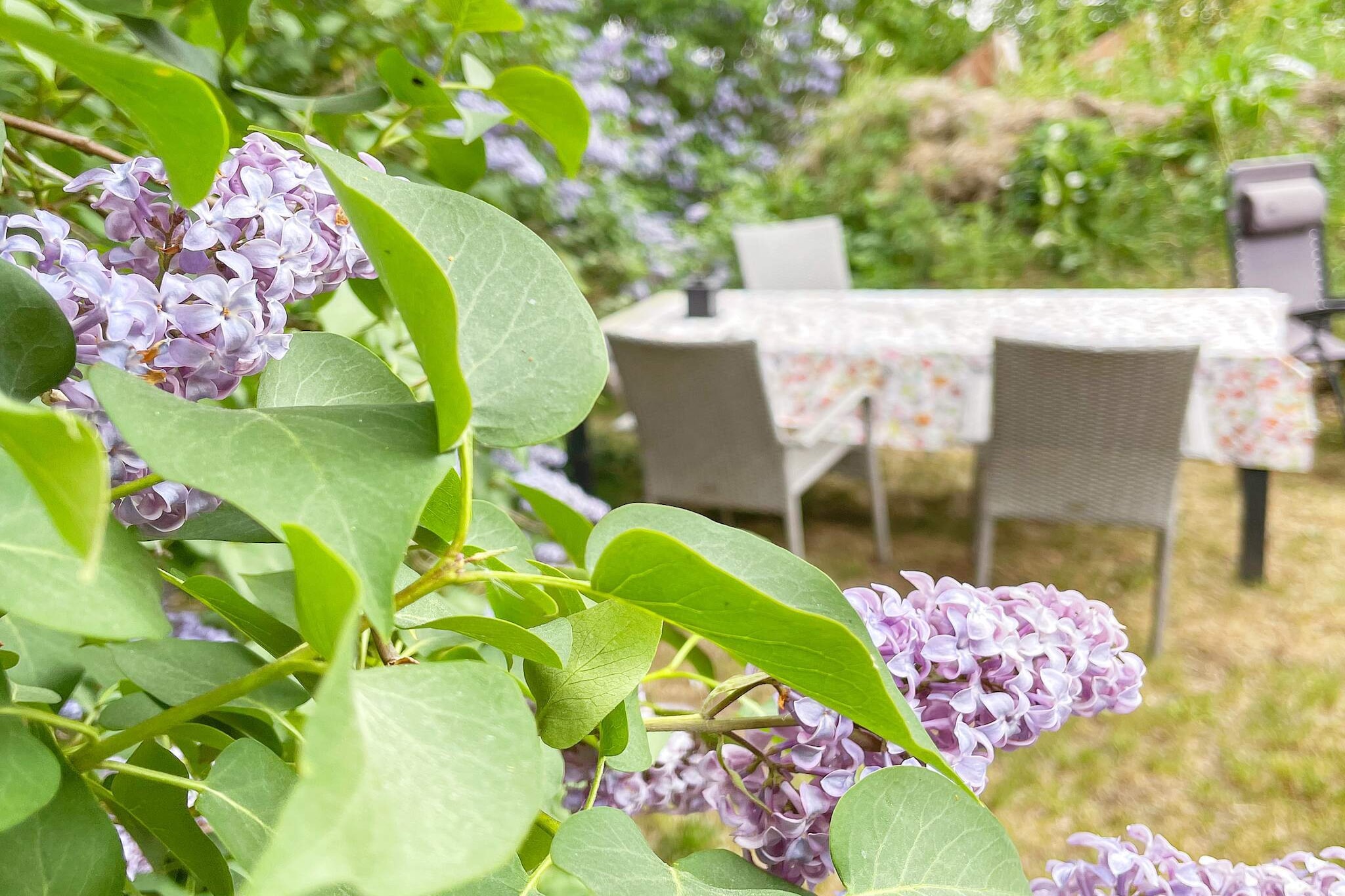 Outdoor