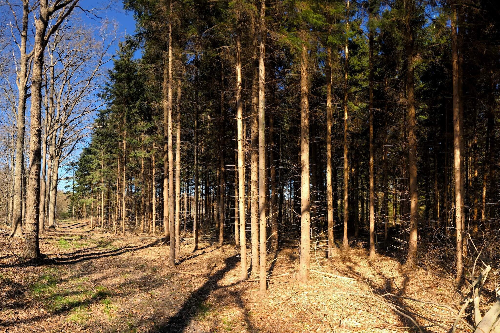 5 person holiday home in Karrebæksminde-By Traum-Untagged