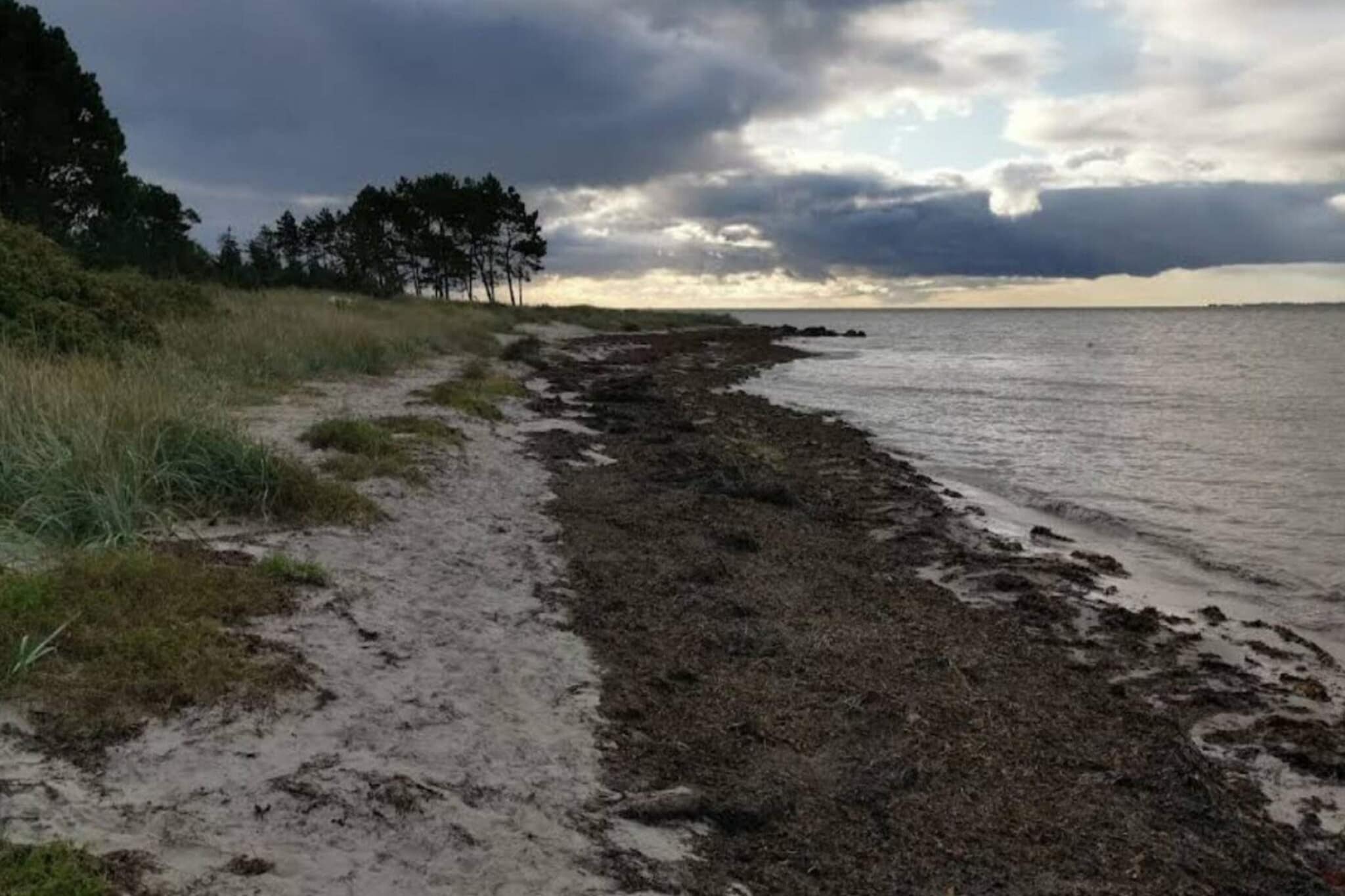 Luxus-Refugium in Kegnaes - Wasserblick