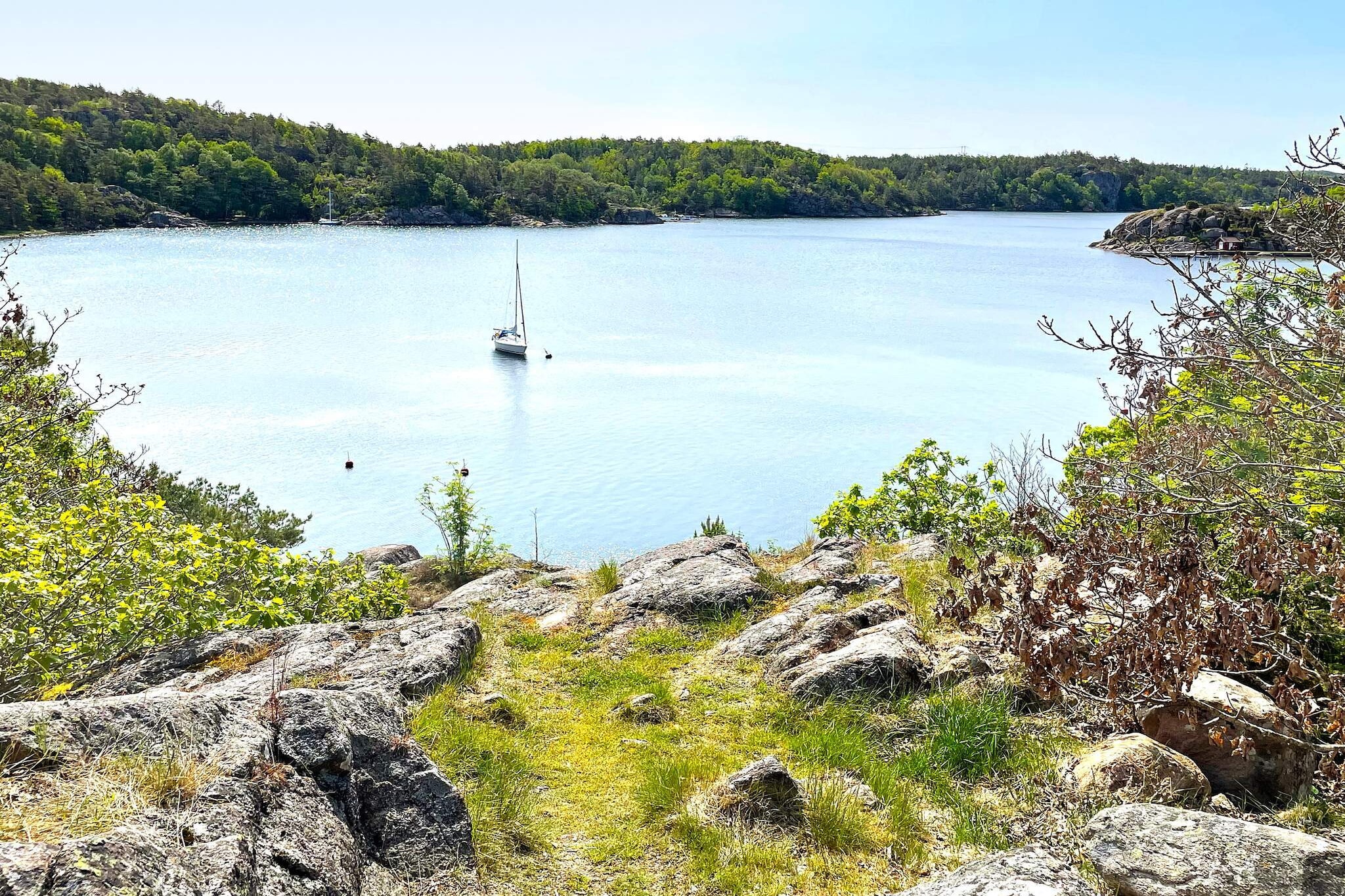Water View