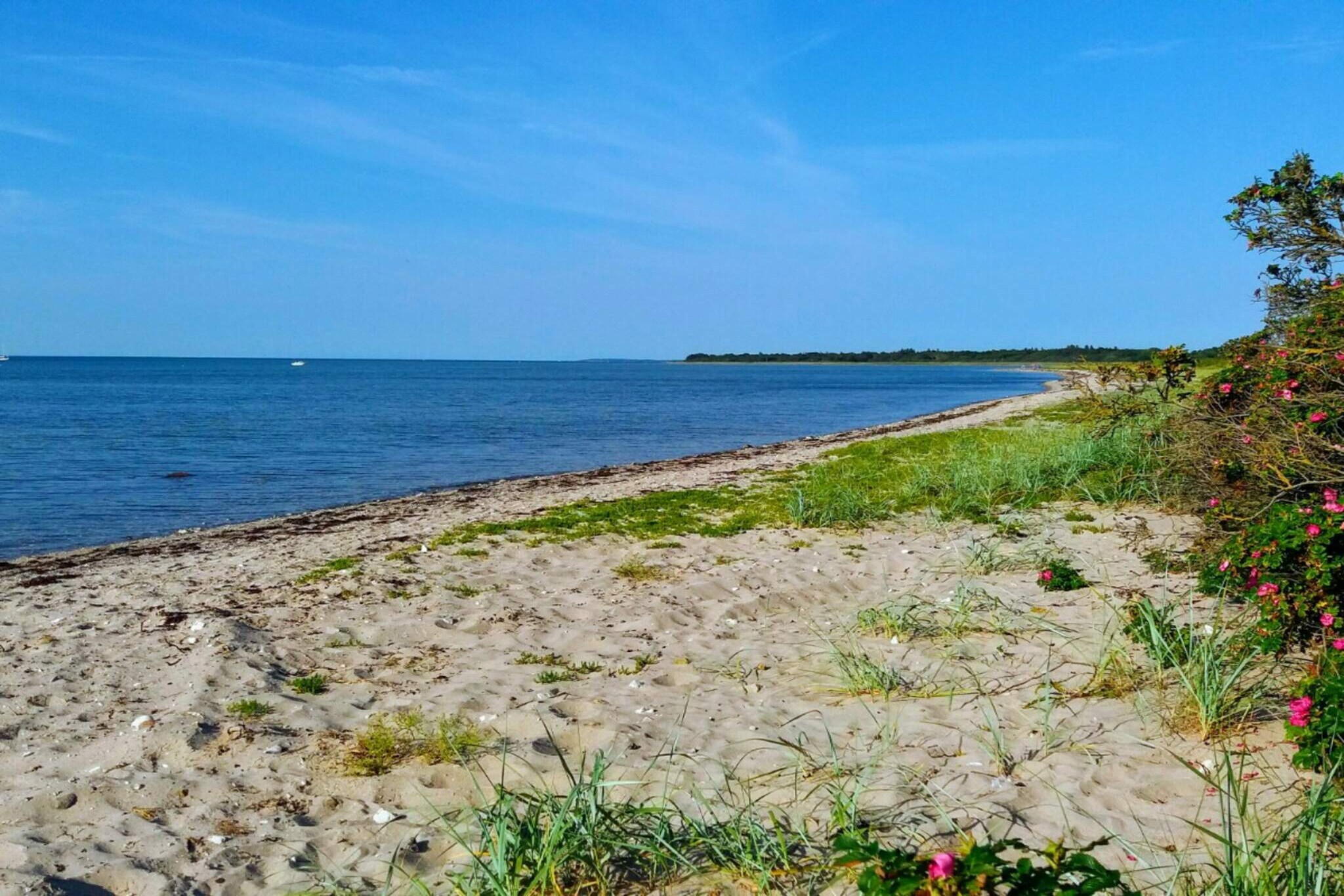 Maison de vacances pour 18 a Bogense - Vue sur l'eau
