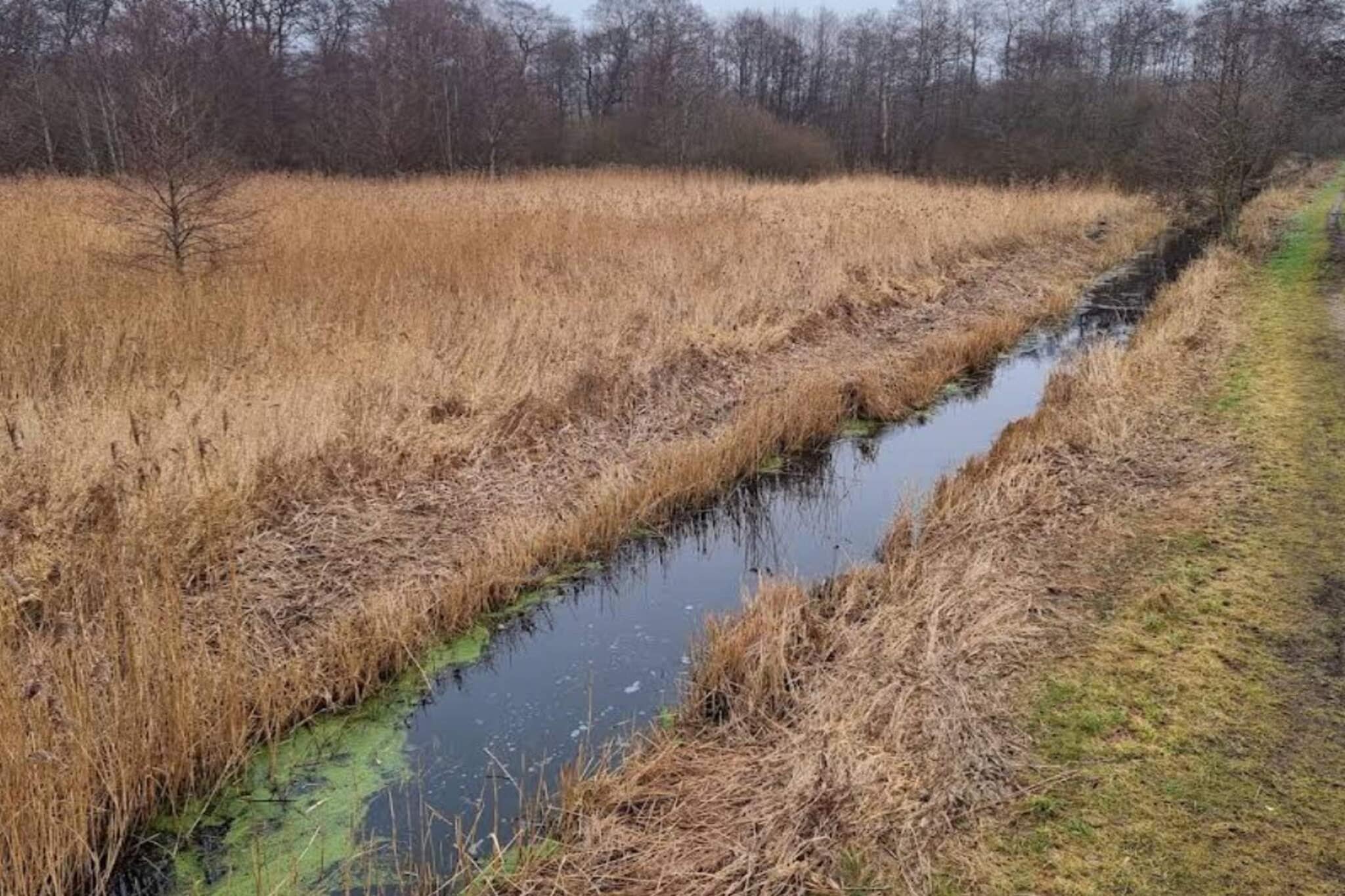 3 persoons vakantie huis in Ebeltoft-By Traum-Niet-getagd