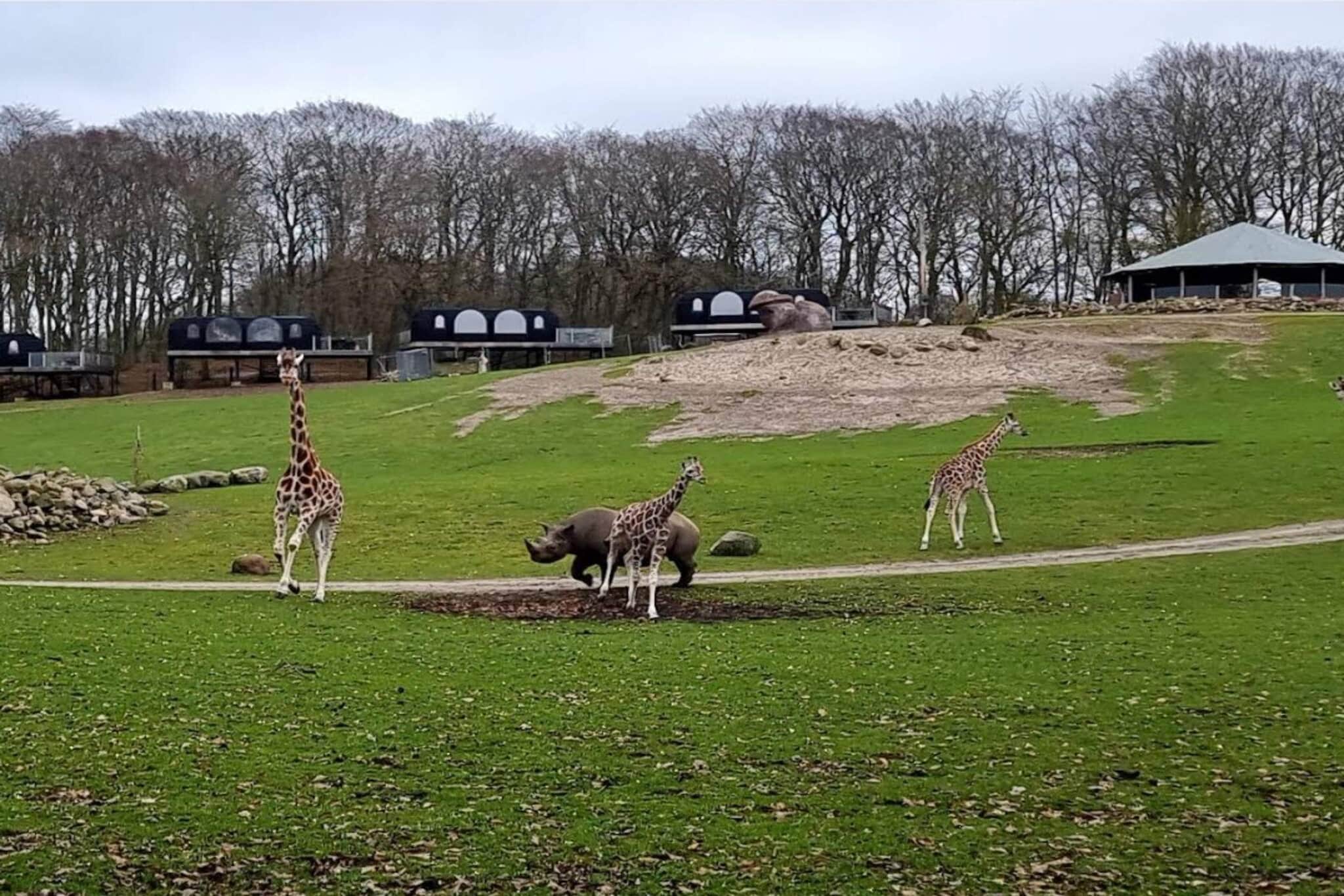 3 persoons vakantie huis in Ebeltoft-By Traum-Niet-getagd