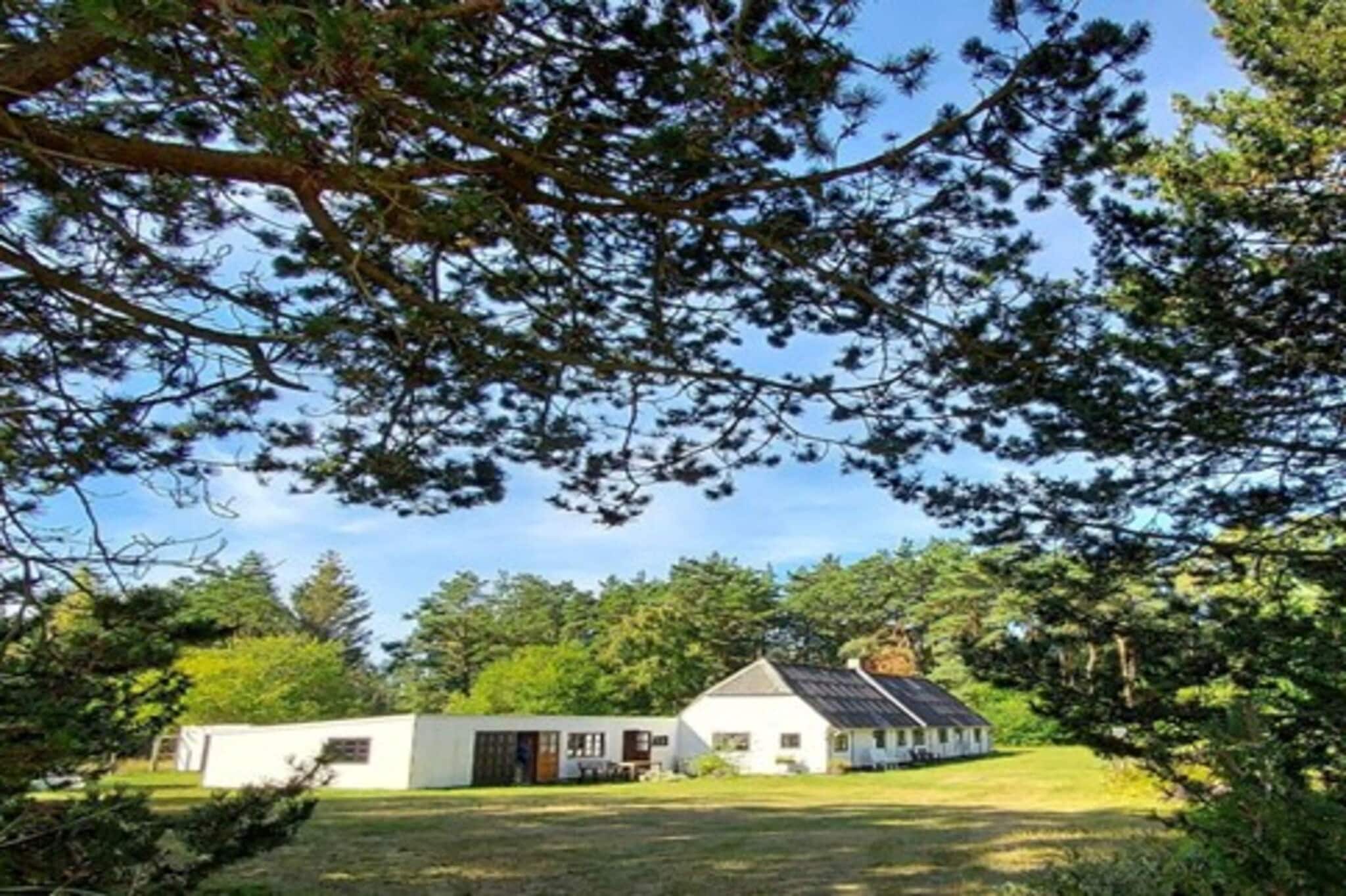 6 persoons vakantie huis in Læsø-By Traum-Buitenlucht