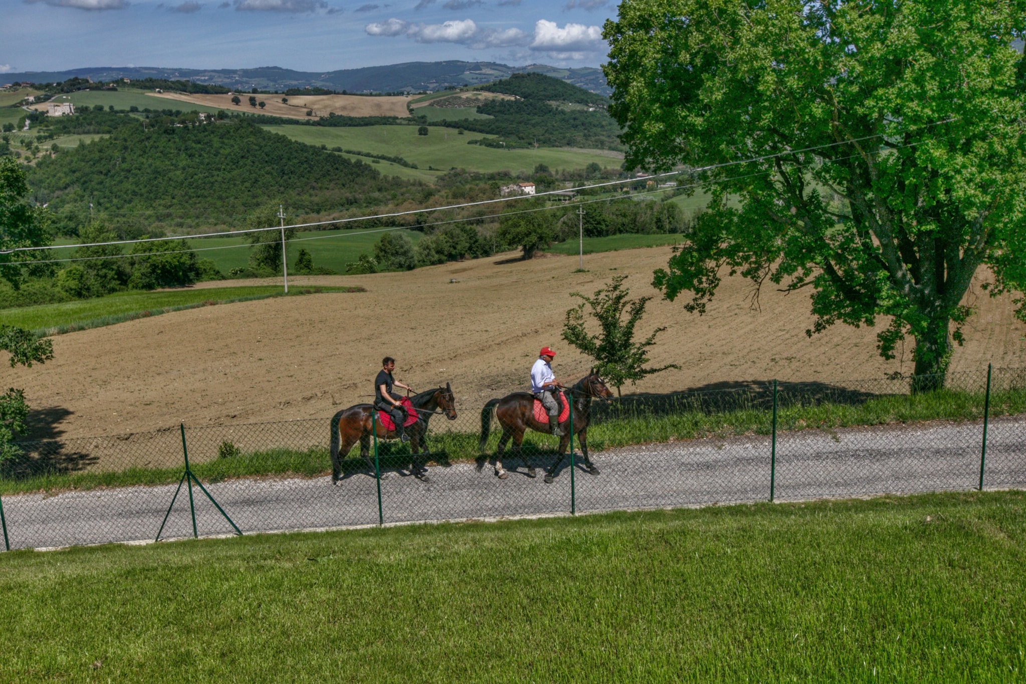 Villa Due Olive-Gebieden zomer 1km